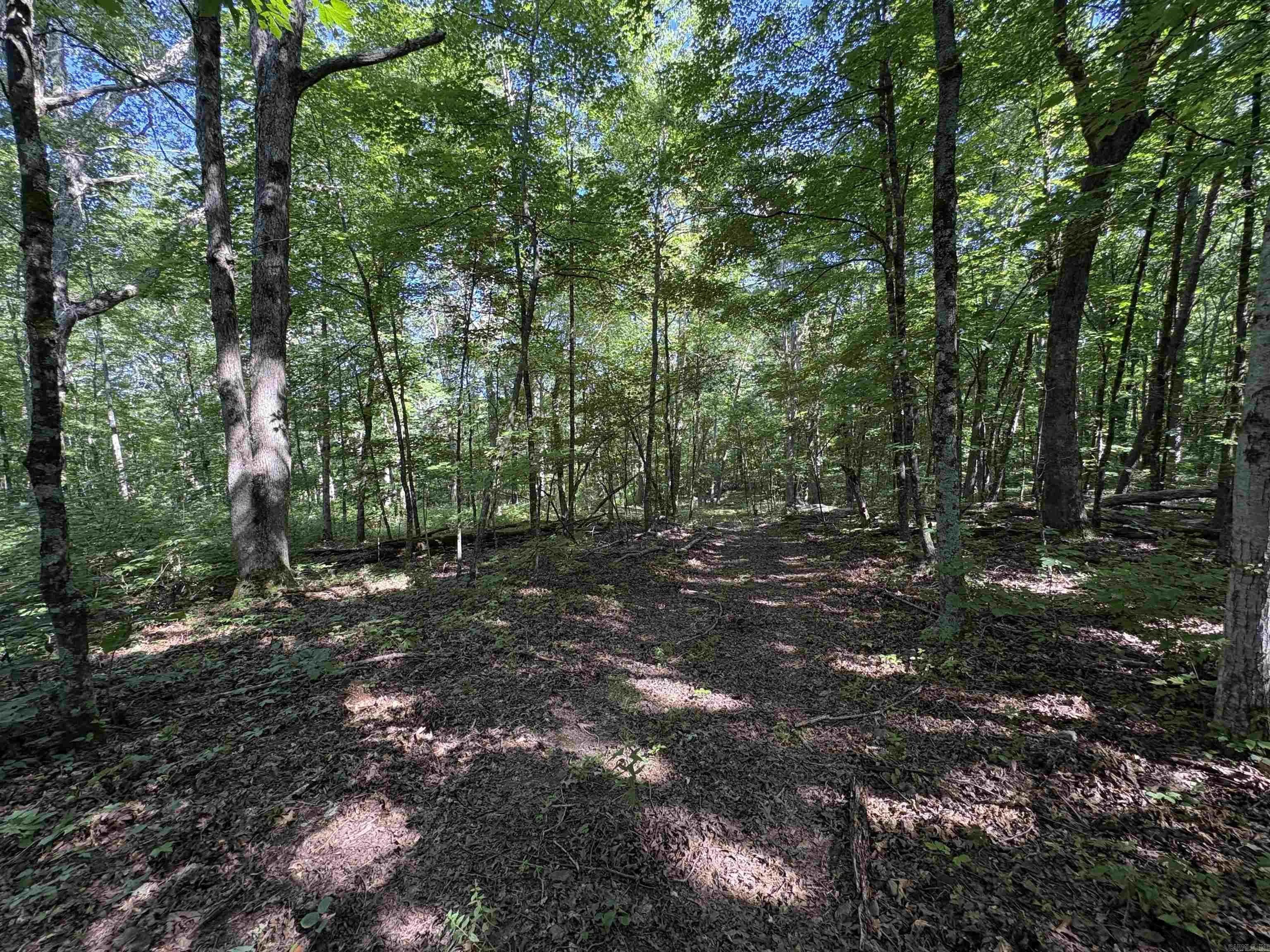 Property at 000  Fs 1548 - Image 14