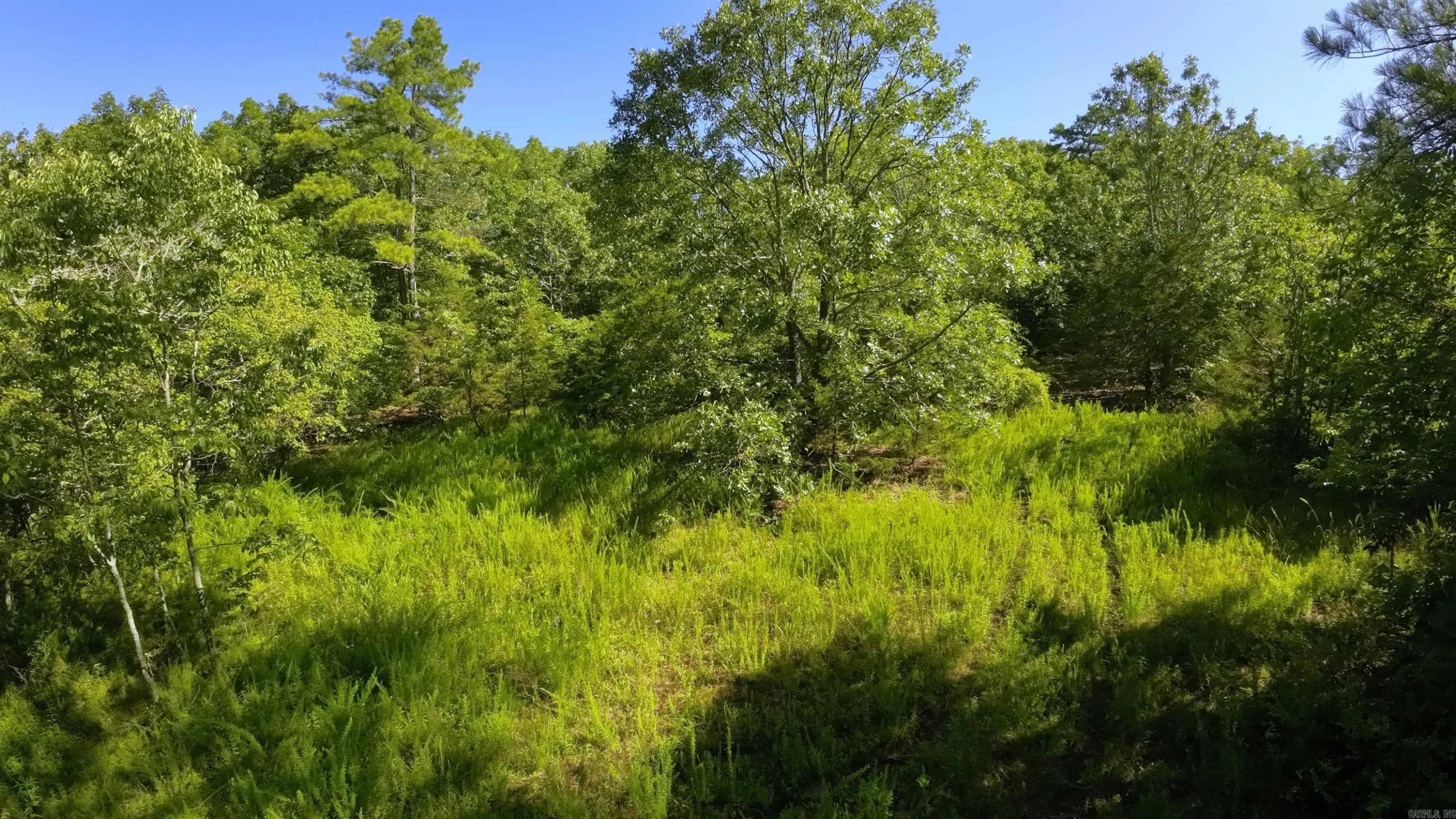 Property at 000  Fs 1548 - Image 8