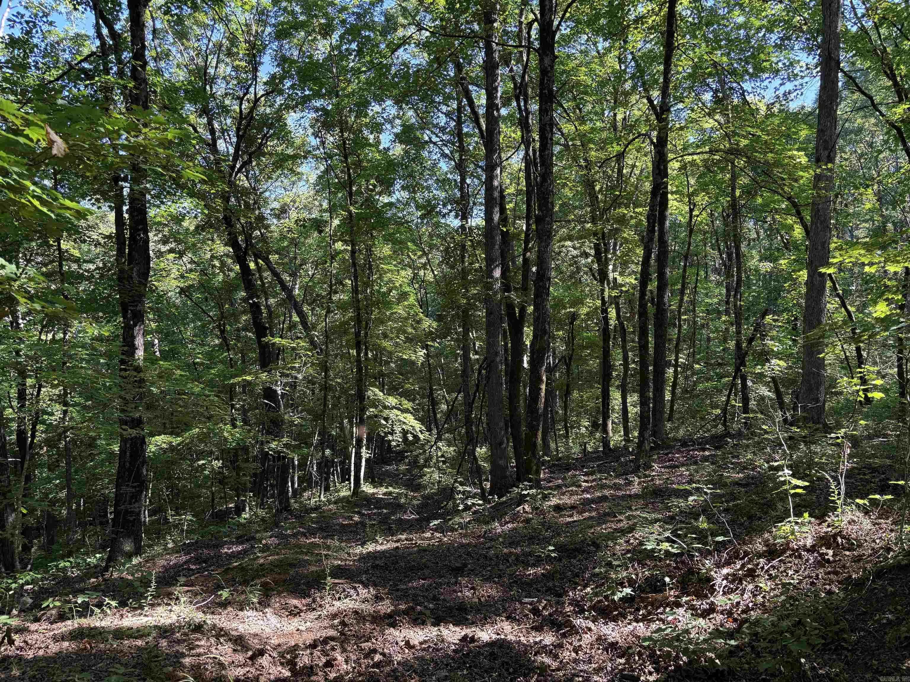 Property at 000  Fs 1548 - Image 17