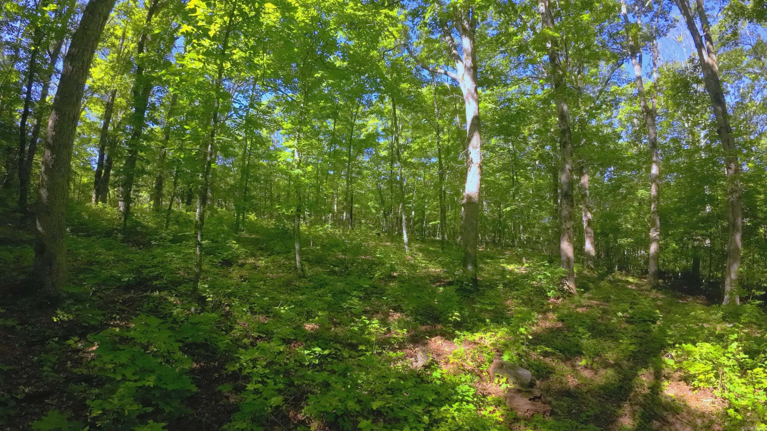 Property at 000  Fs 1548 - Image 12