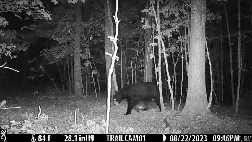 Property at 000  Fs 1548 - Image 7