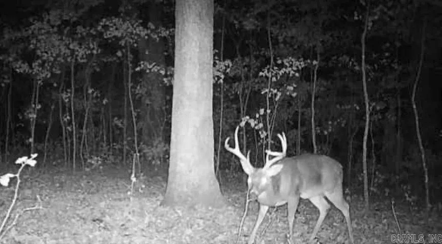 Property at 000  Fs 1548 - Image 6