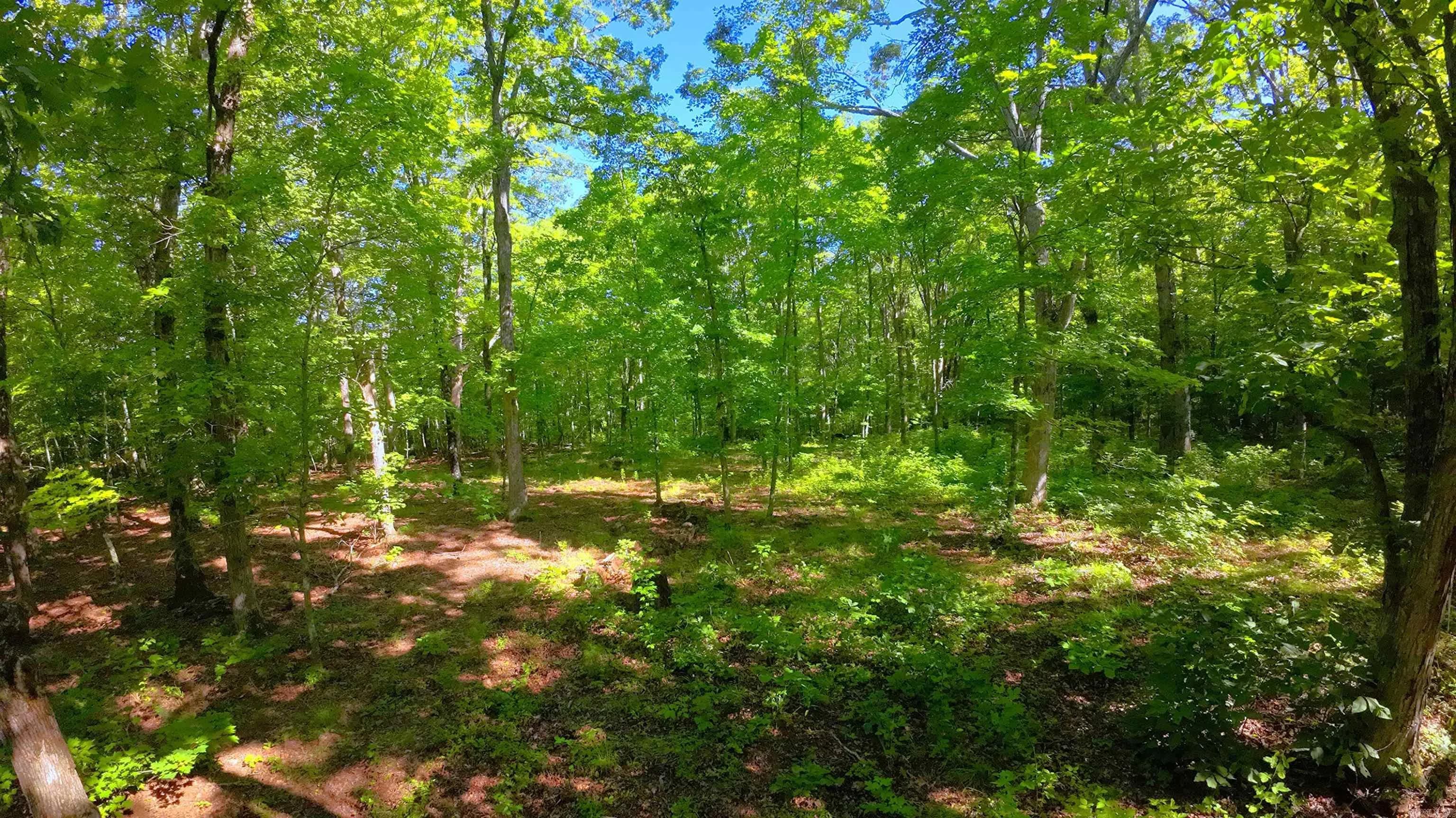 Property at 000  Fs 1548 - Image 10