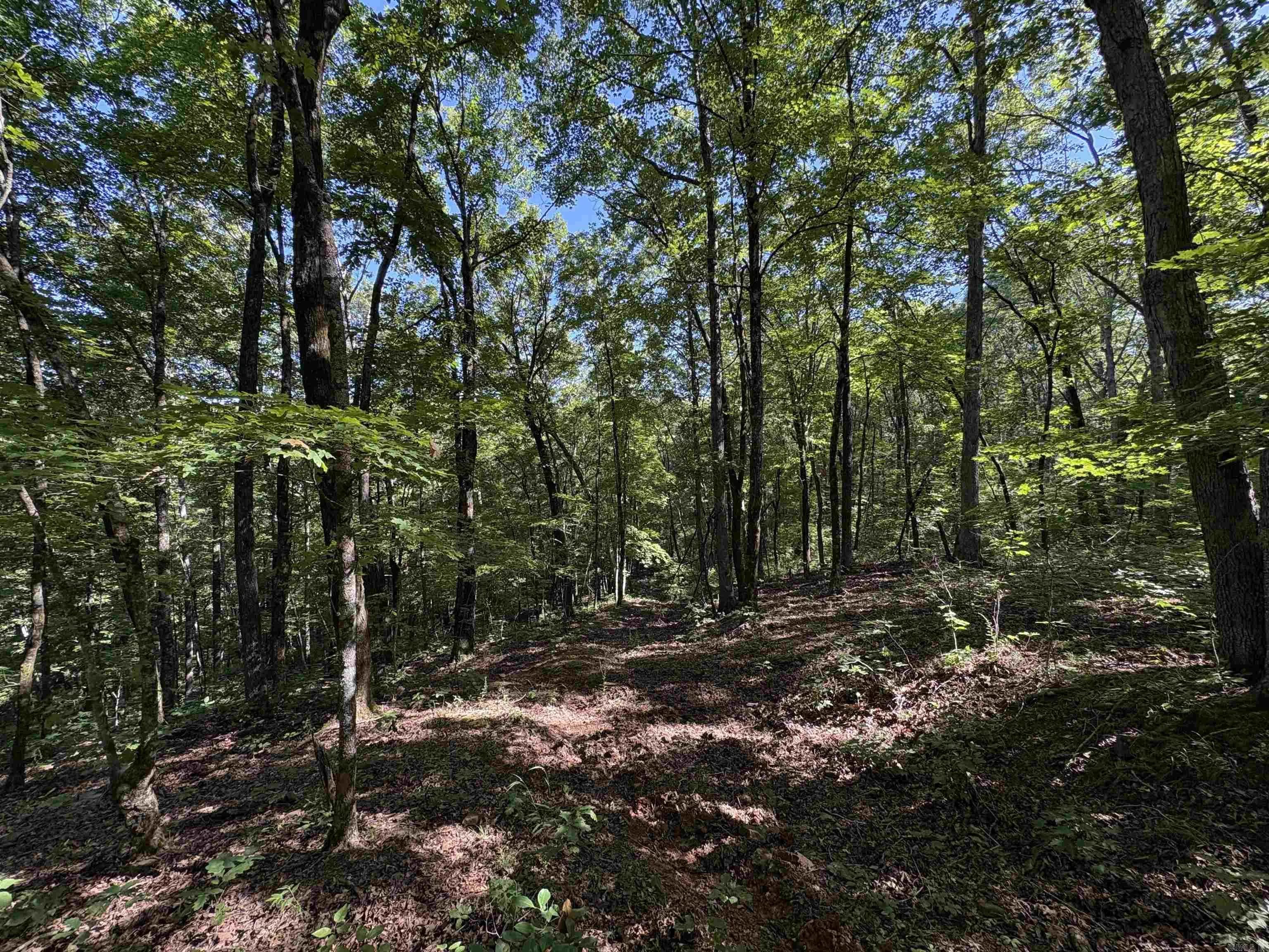 Property at 000  Fs 1548 - Image 16