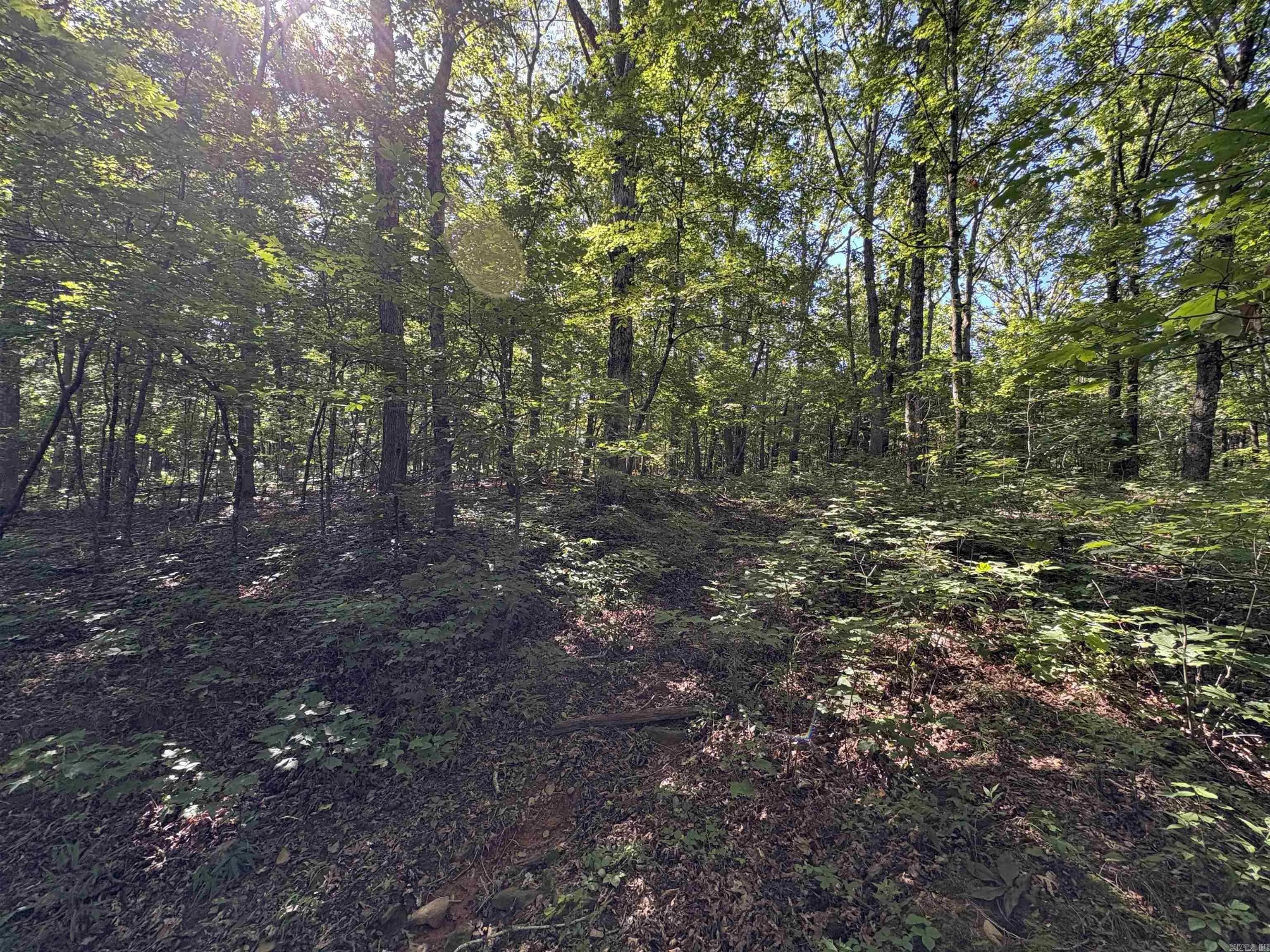 Property at 000  Fs 1548 - Image 18
