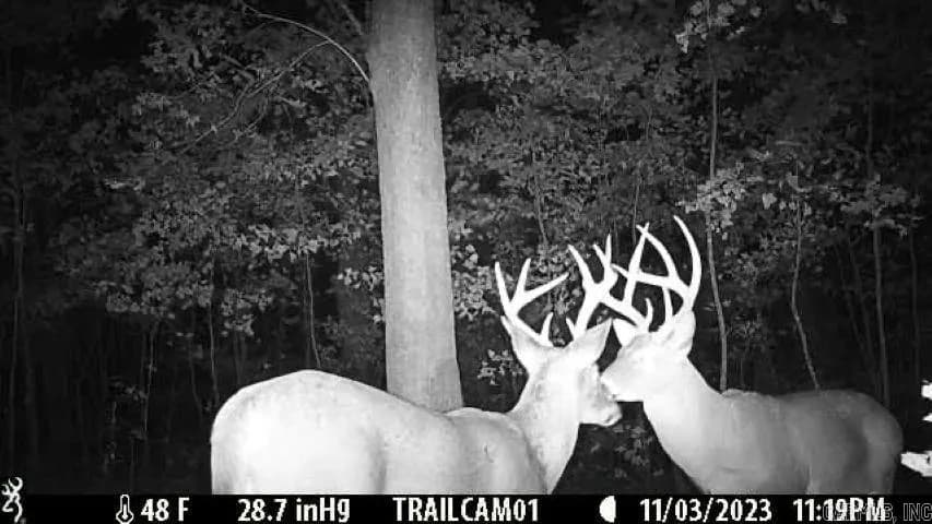 Property at 000  Fs 1548 - Image 4