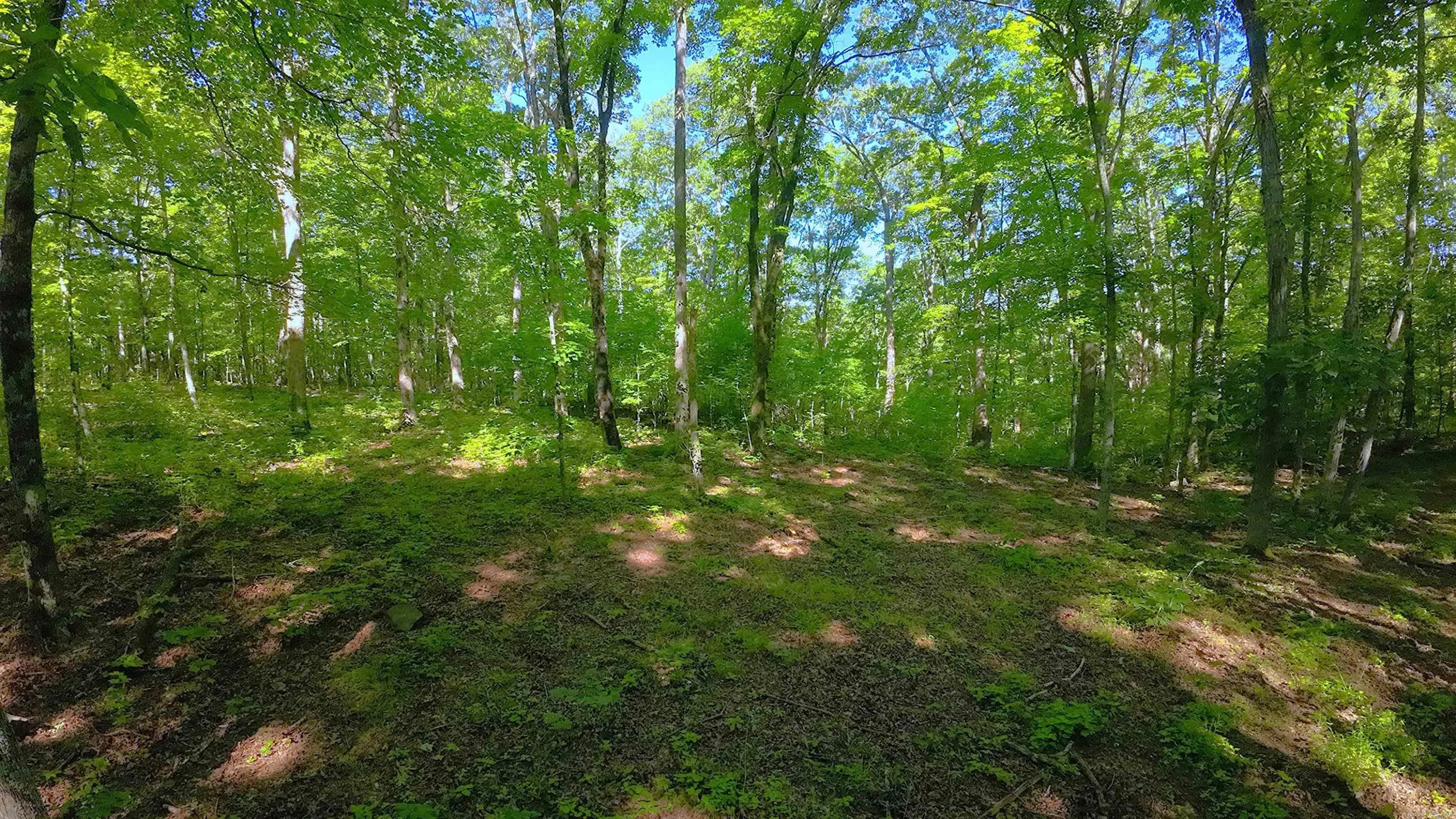 Property at 000  Fs 1548 - Image 11