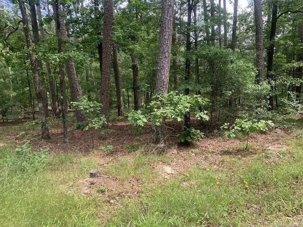 Property at Cima - Image 7