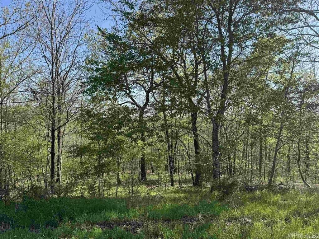 Property at xxx  Covey rise - Image 2
