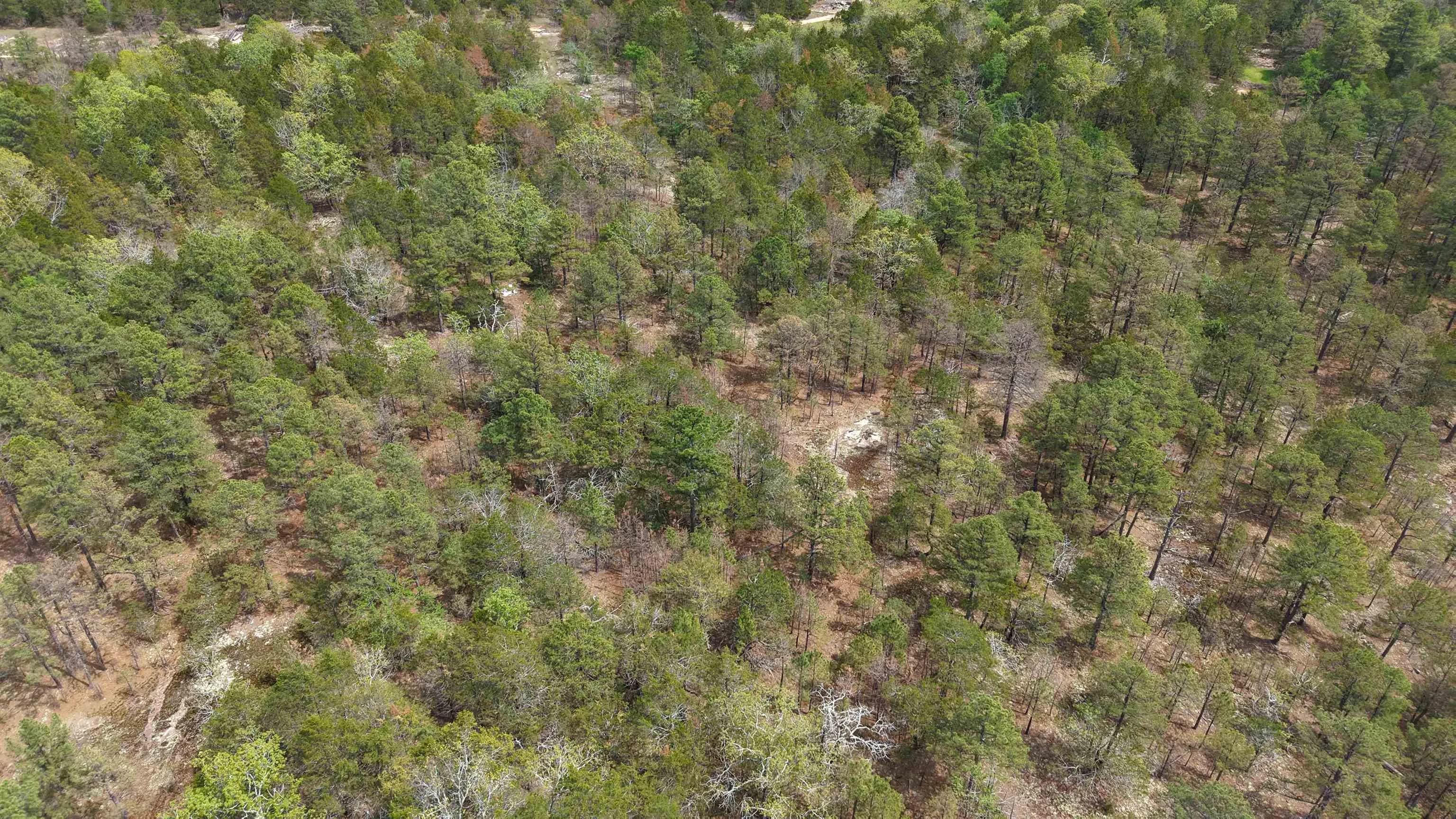 Property at 703  Old dolph - Image 6