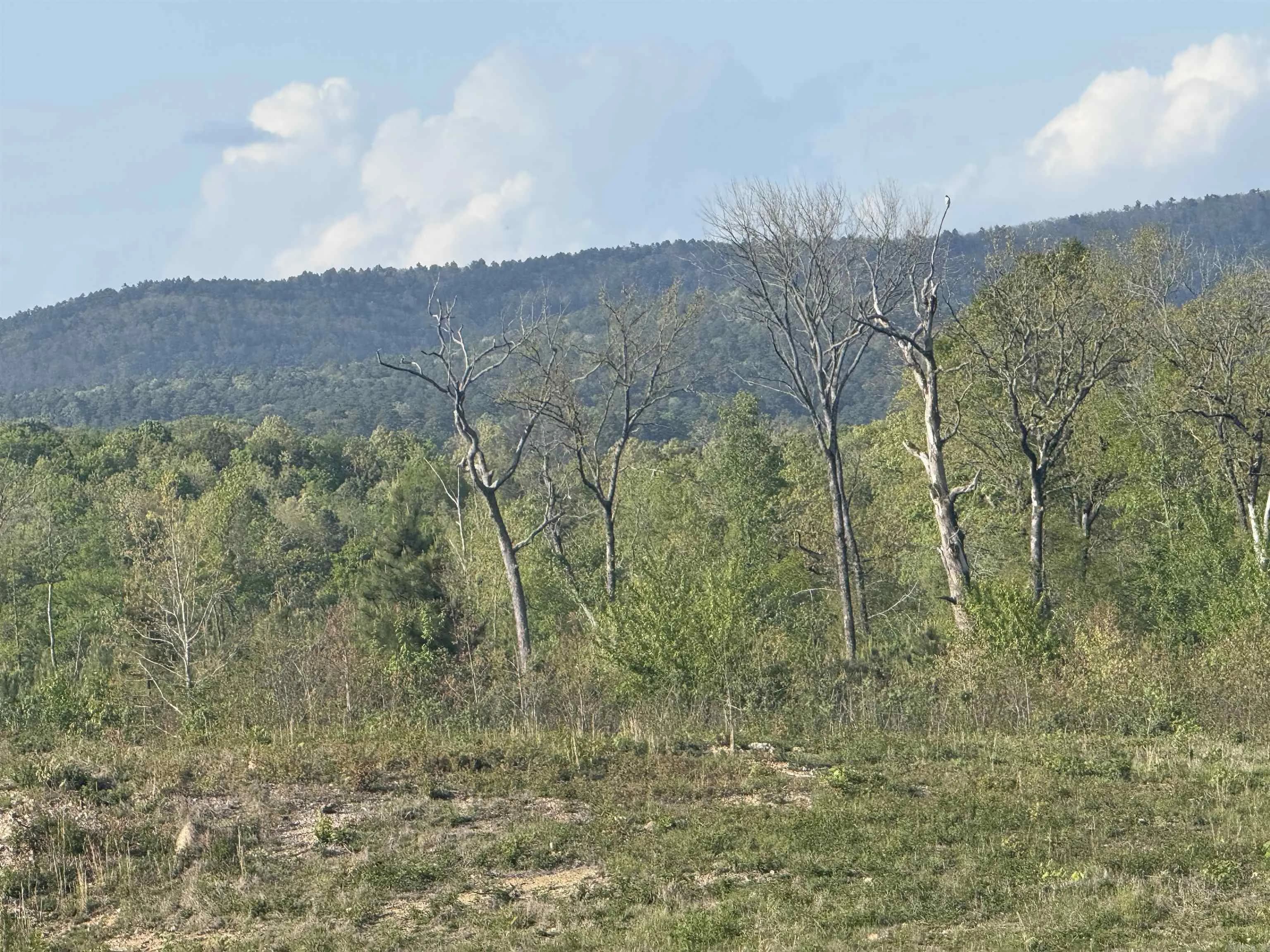 Property at 251  Polk road 72 - Image 34