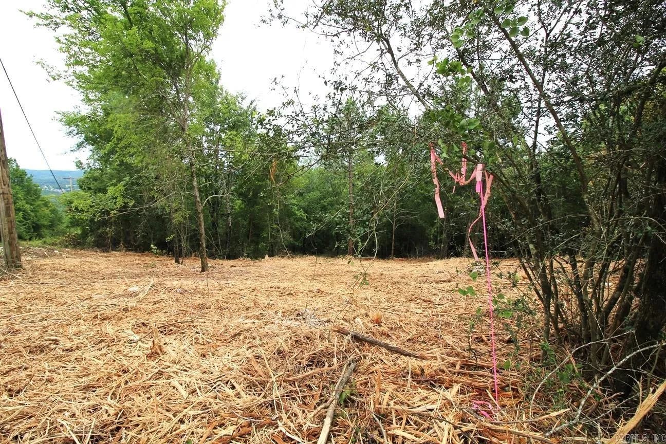 Property at 00  Mt. riante - Image 6