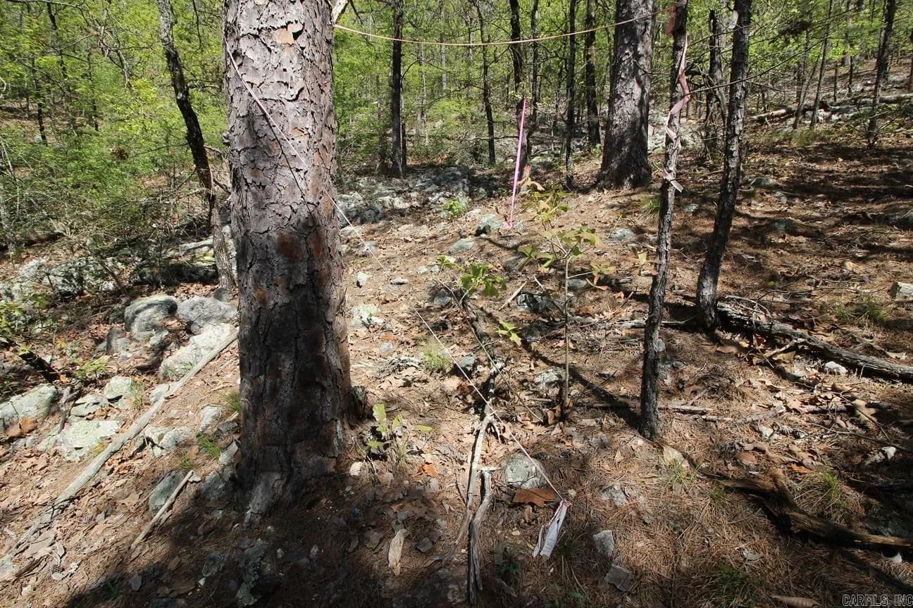 Property at 00  Mt. riante - Image 19