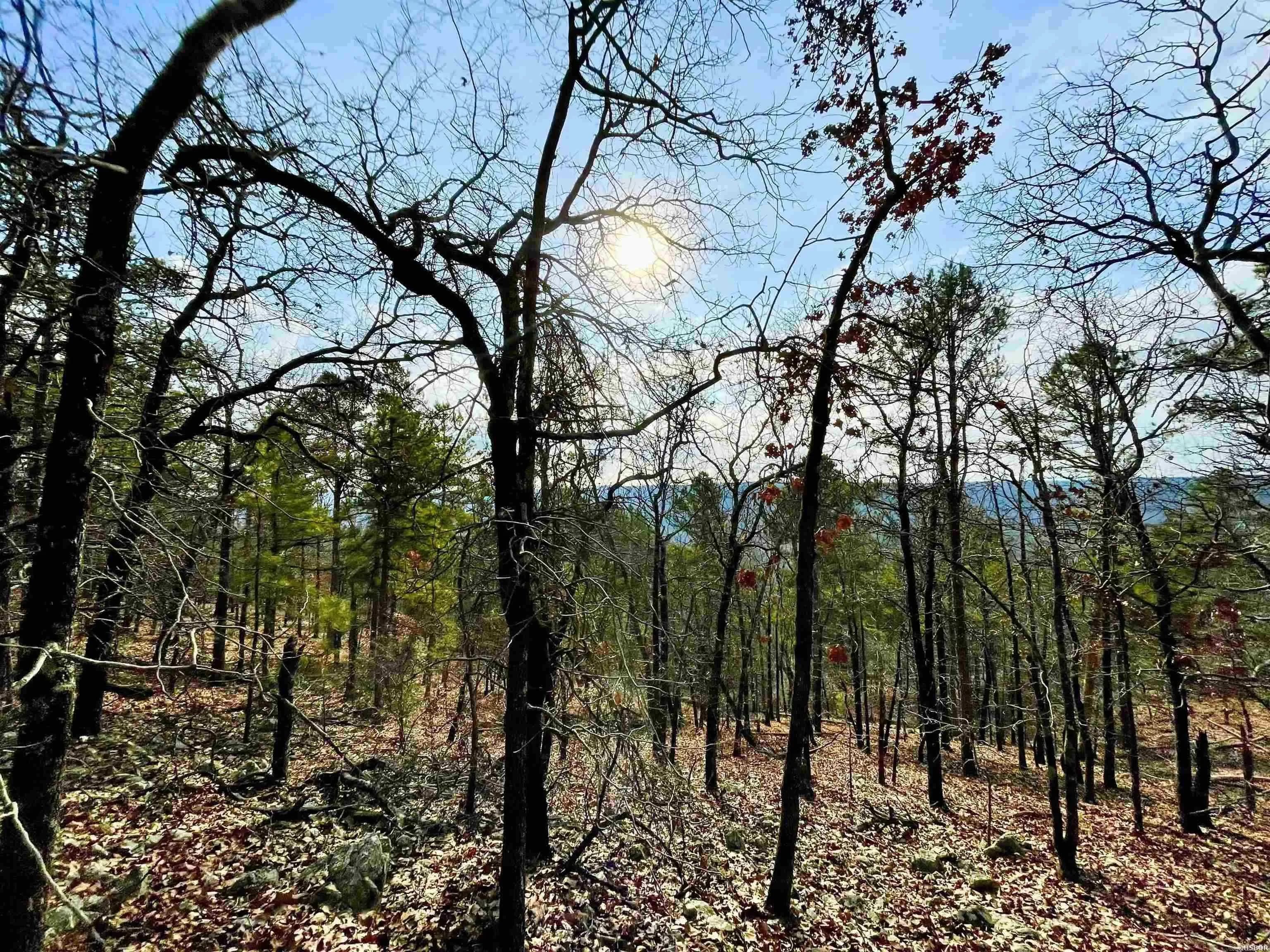 Property at 00  Mt. riante - Image 27