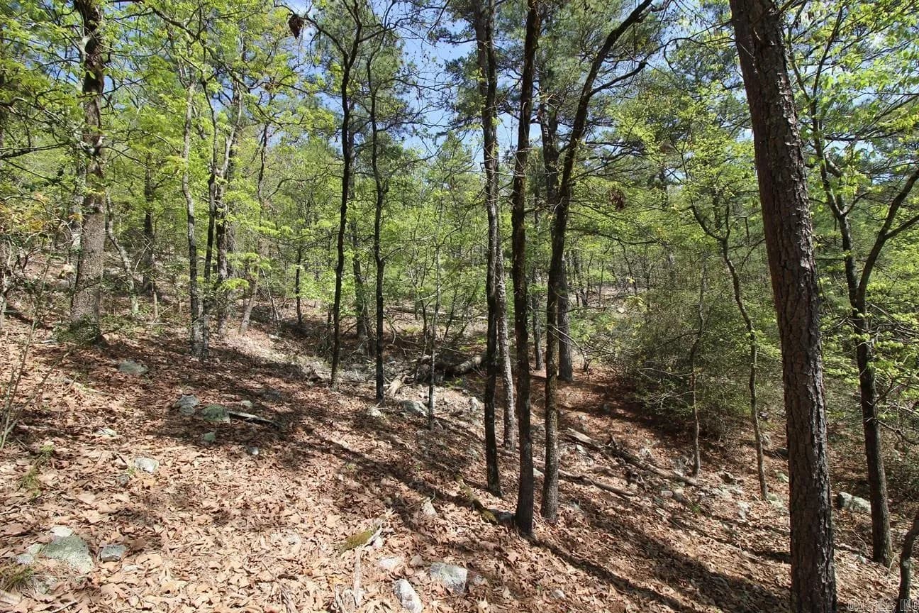 Property at 00  Mt. riante - Image 20