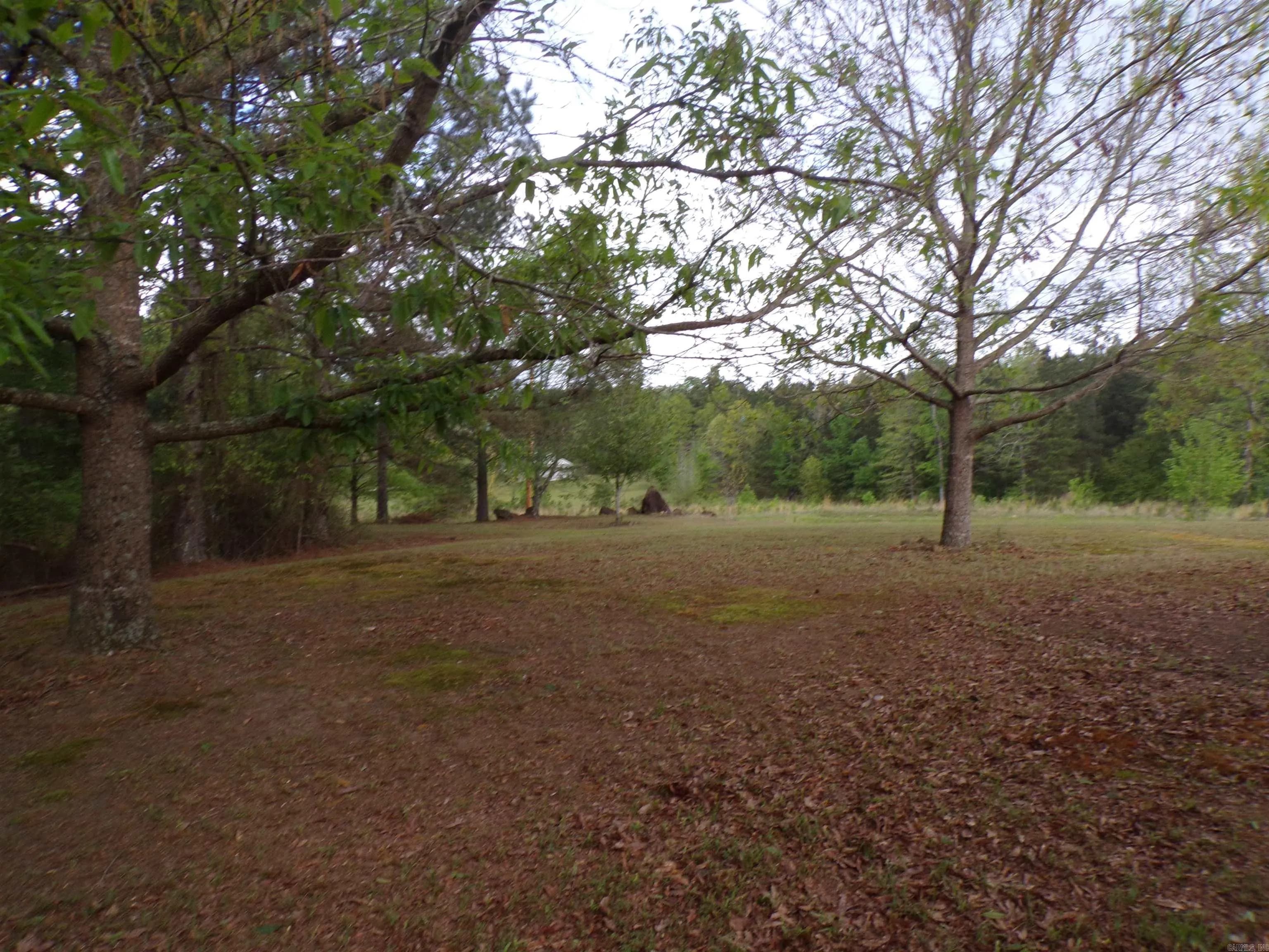 Property at 1807  Fendley - Image 7