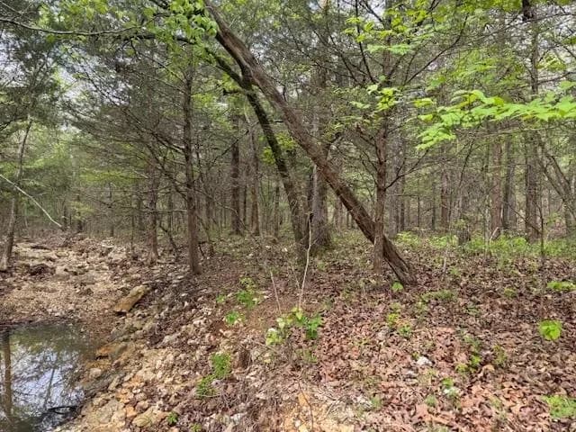 Property at TBD  Wirth rd - Image 13