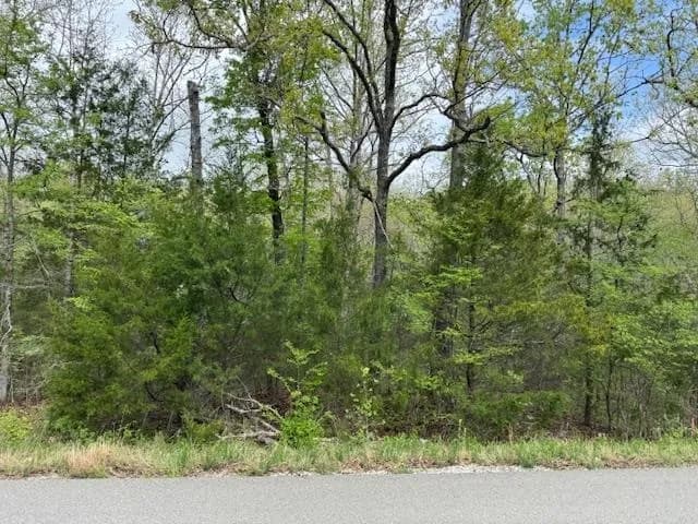 Property at TBD  Wirth rd - Image 18