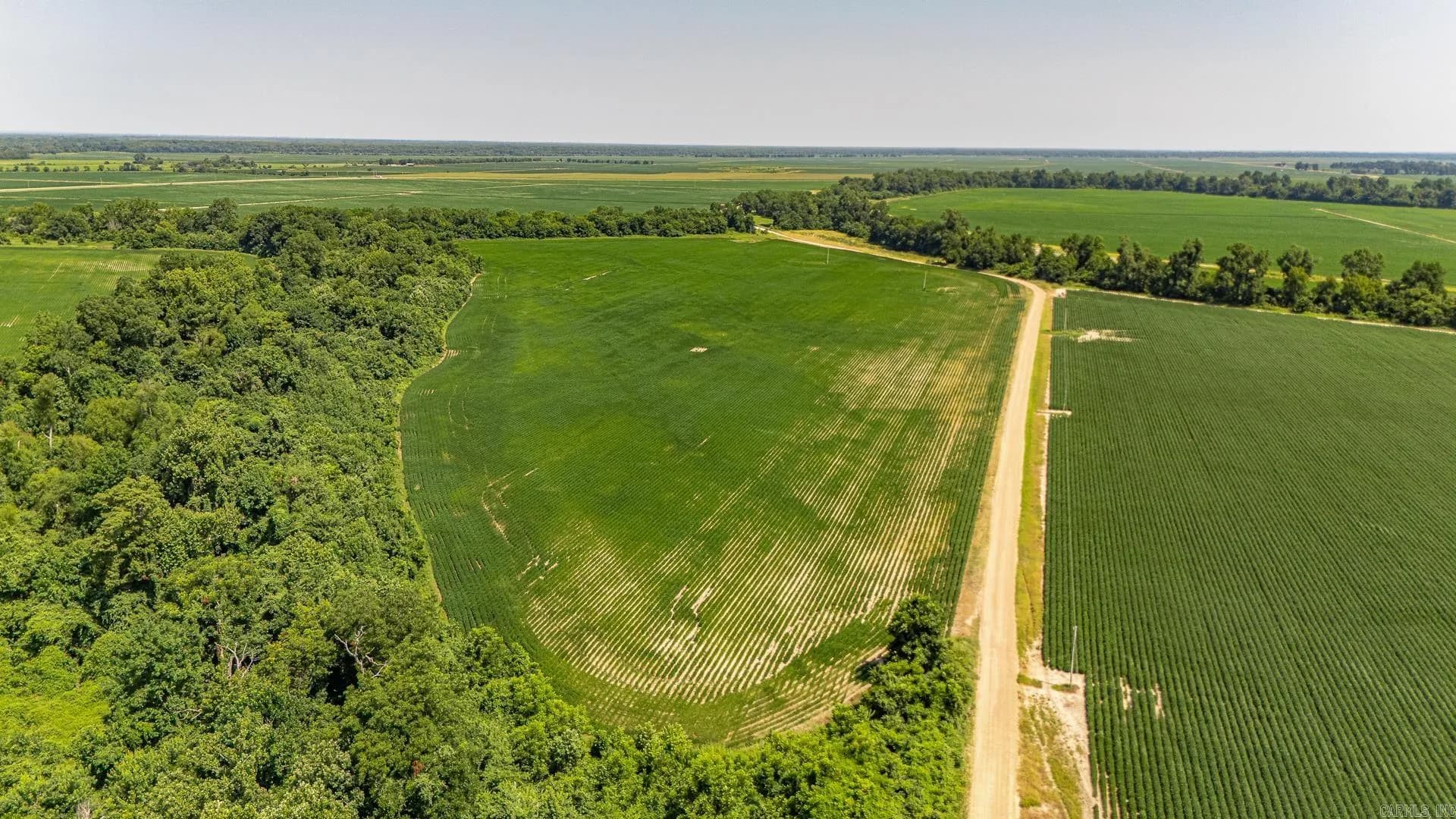Property at 166.41  Acres - Image 13
