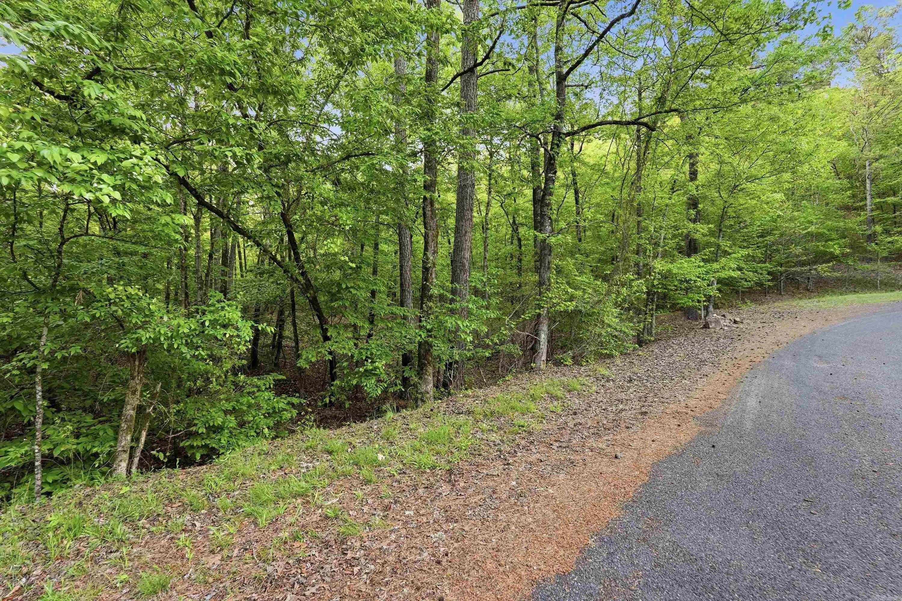 Property at Lot 16  Tall hickory road - Image 35