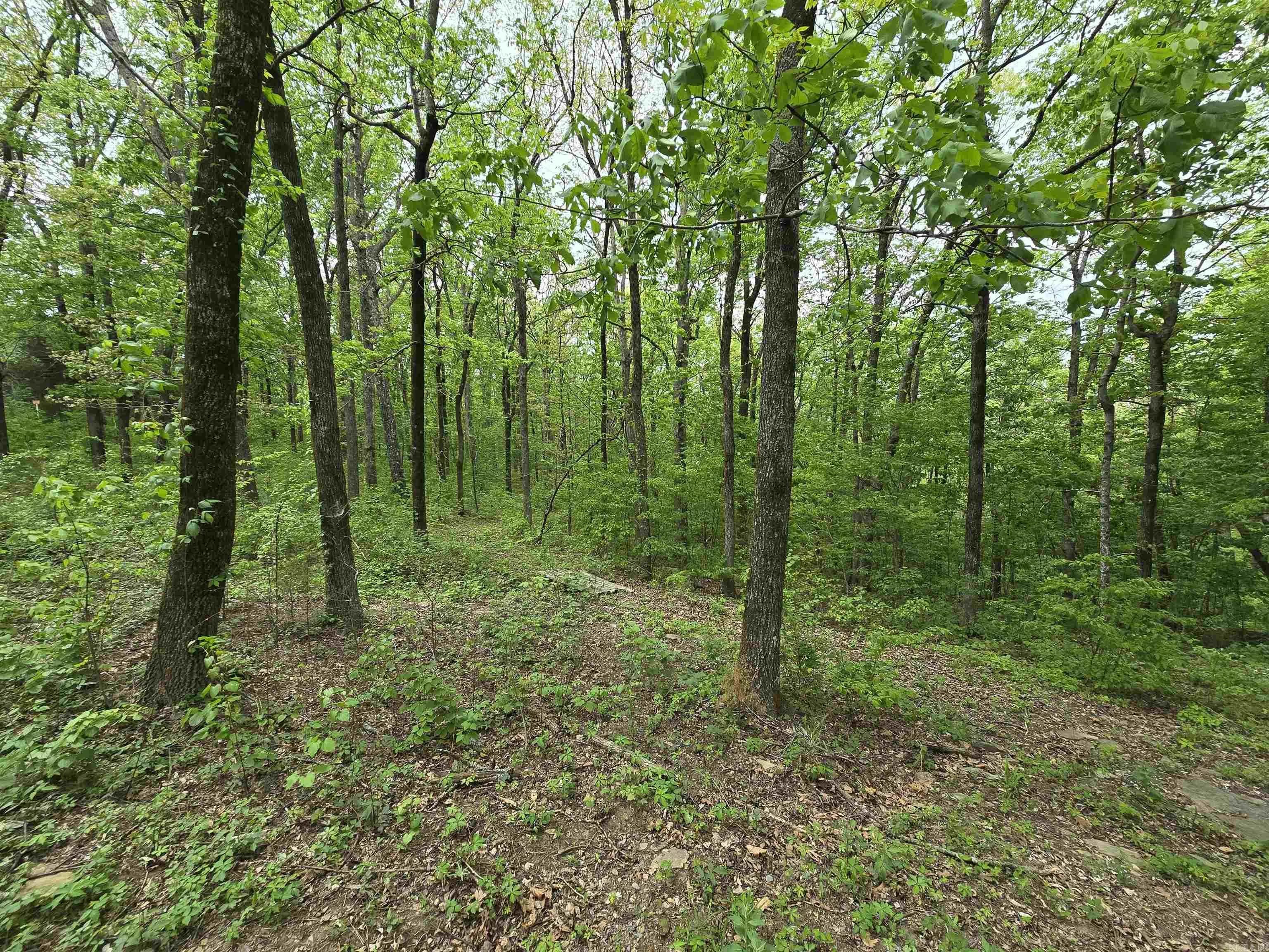 Property at 1720  Greers ferry - Image 27