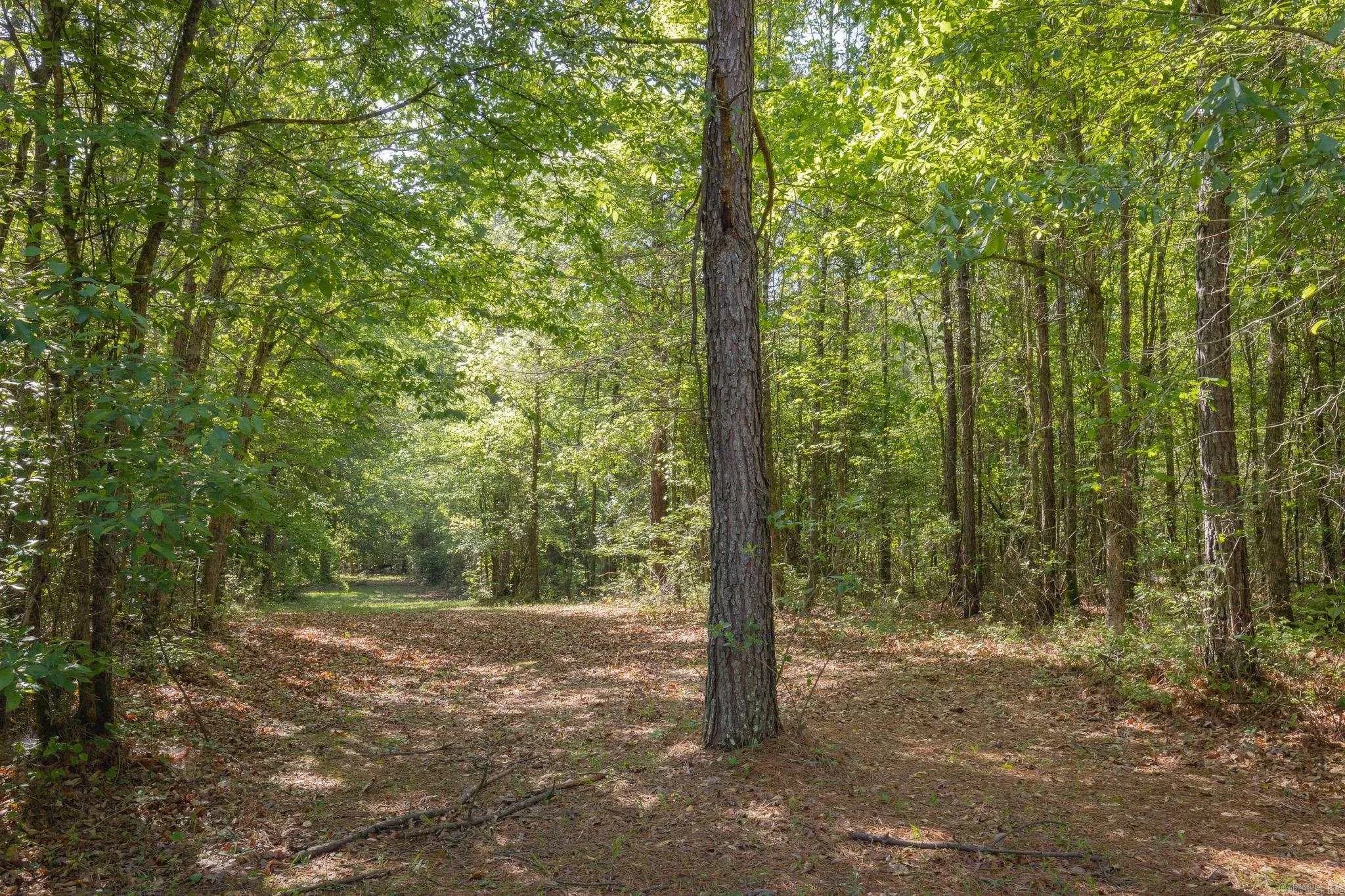 Property at 0  County rd 8 - Image 16