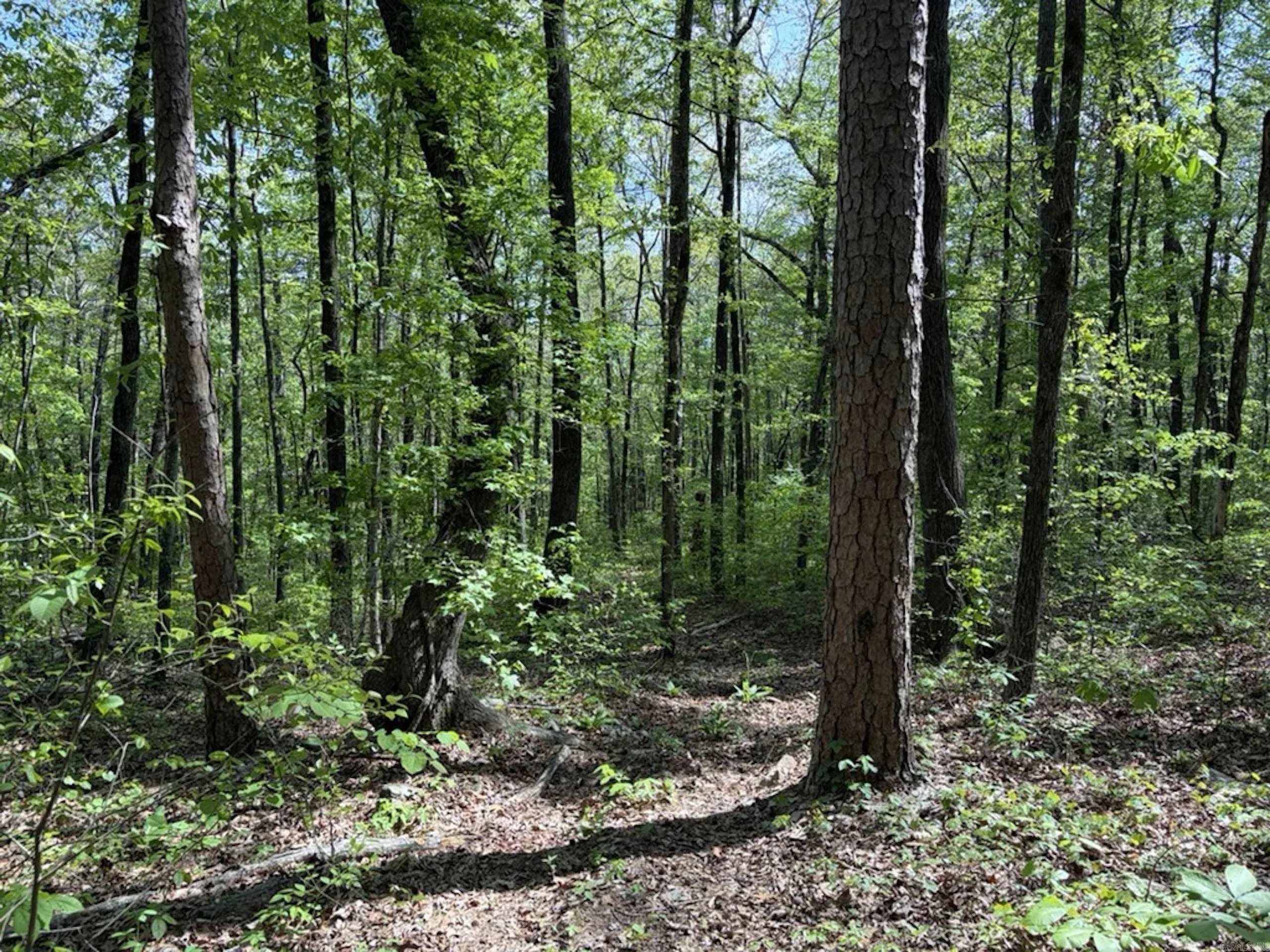 Property at 1949  Hwy 9 e - Image 13