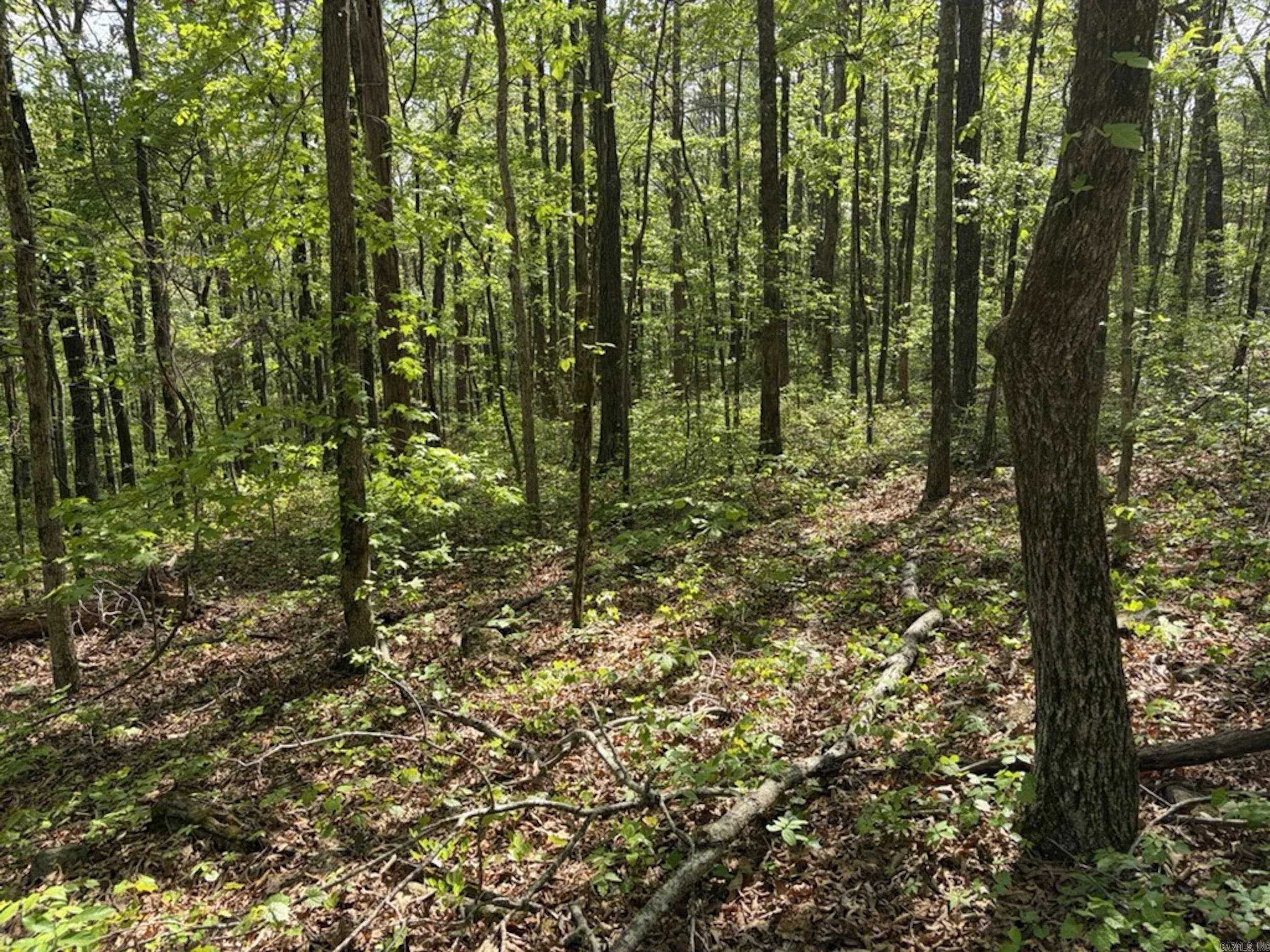 Property at 1949  Hwy 9 e - Image 15