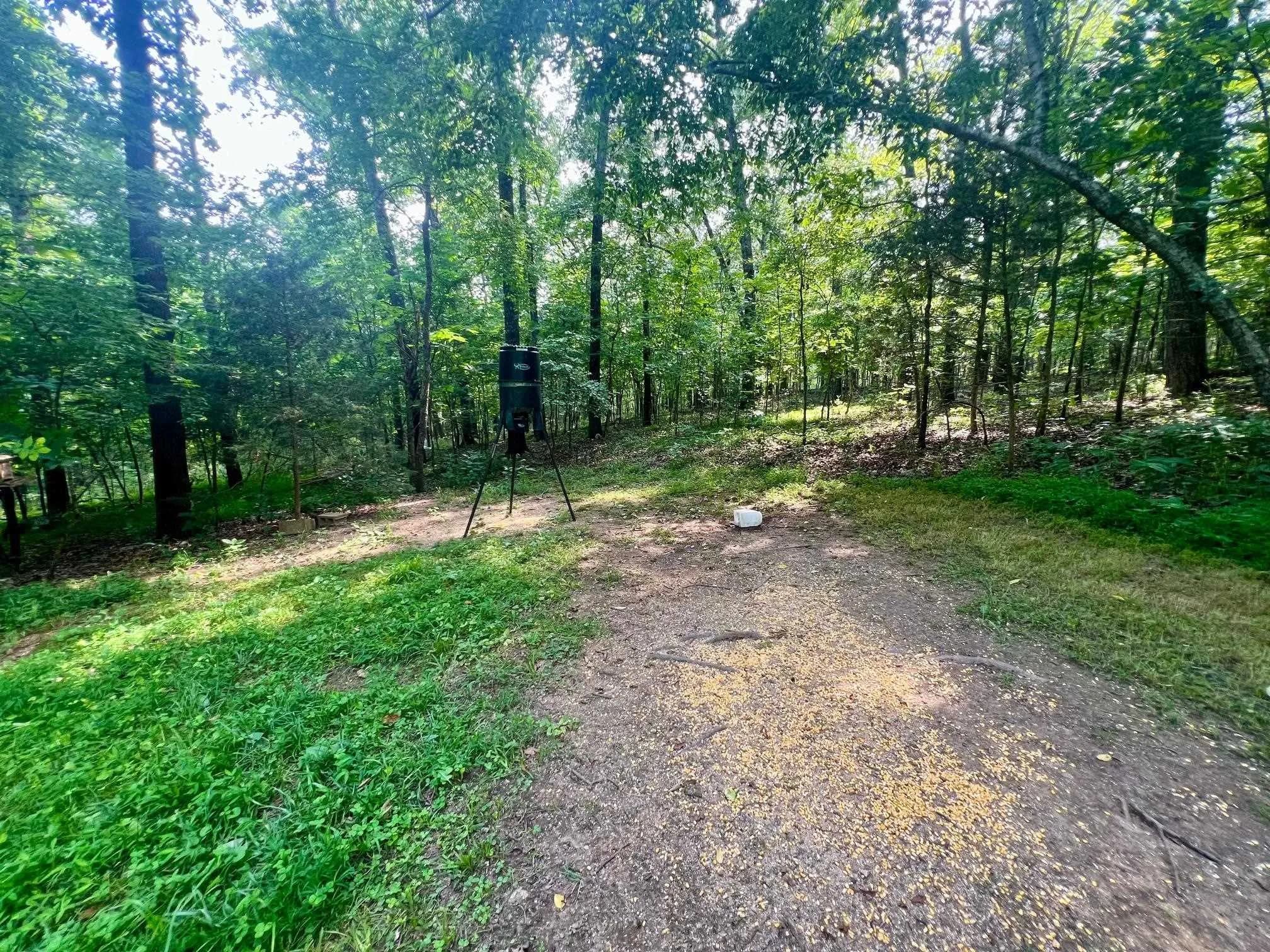 Property at 8601  Nine mile ridge - Image 30
