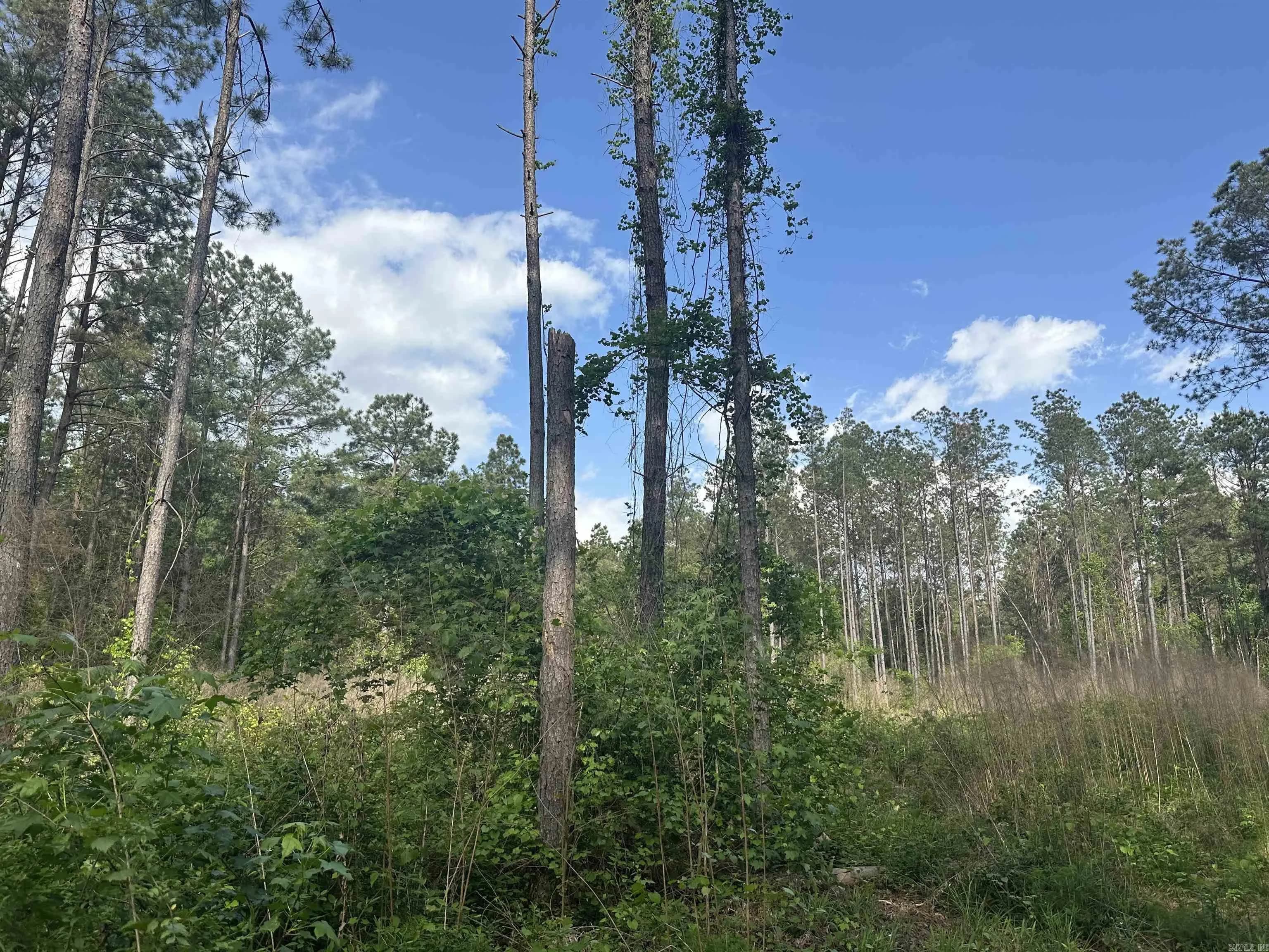 Property at Hwy 67 - Image 5