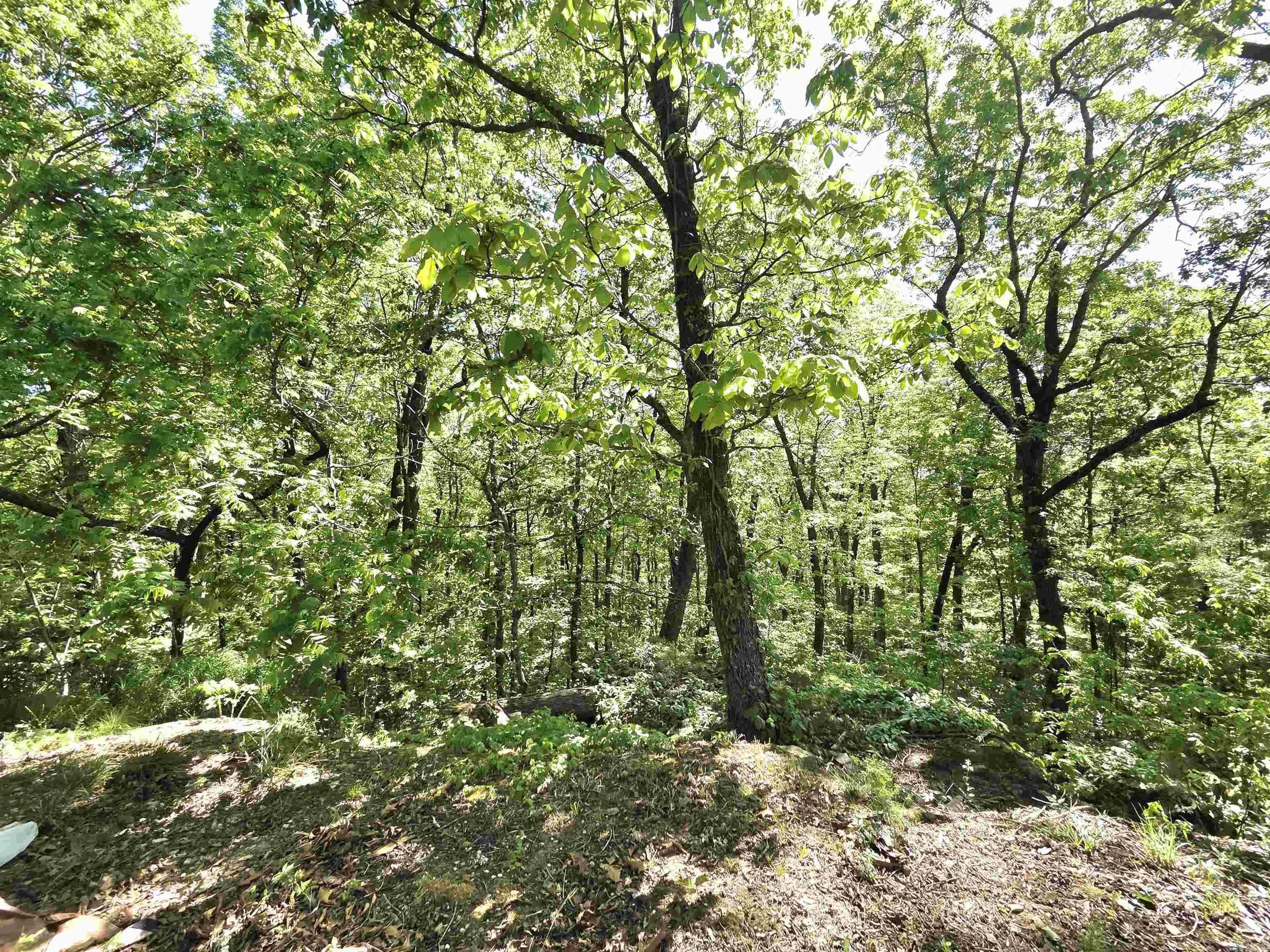 Property at 304  Black bear bluff - Image 31
