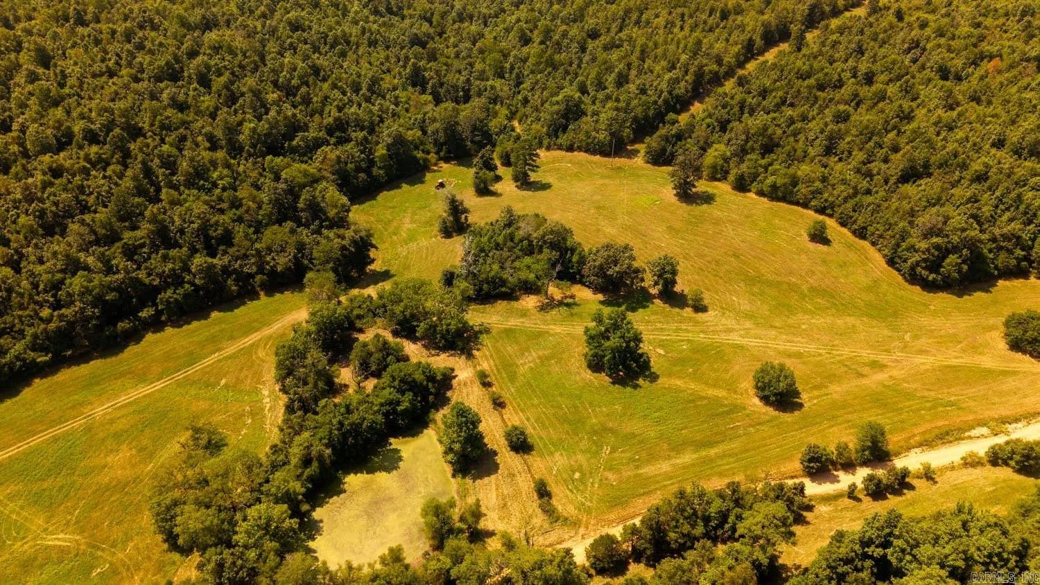 Property at TBD  County road 443 - Image 20