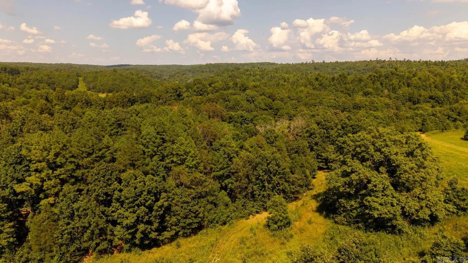 Property at TBD  County road 443 - Image 43