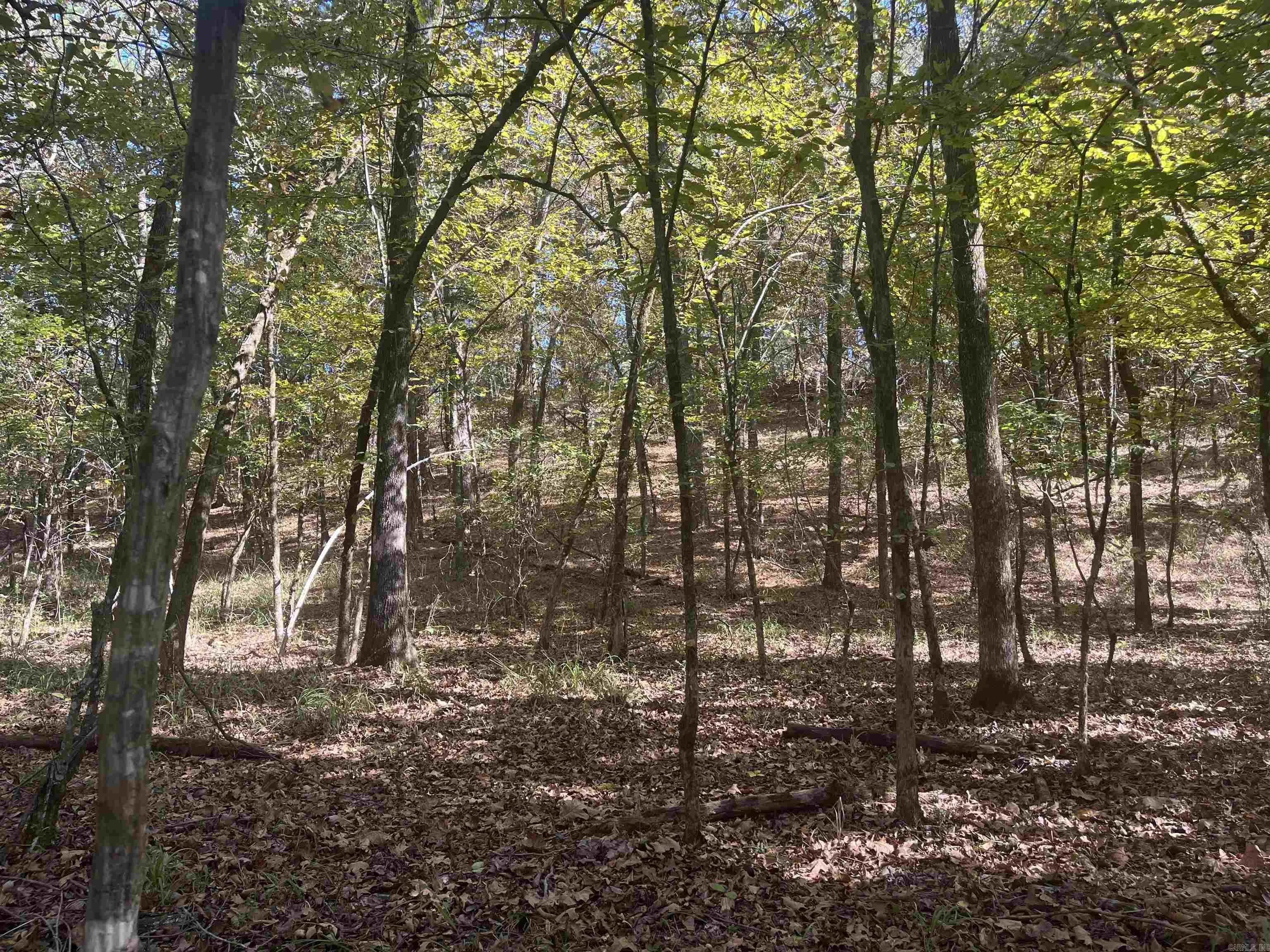 Property at XXX  Hwy 8 - Image 7