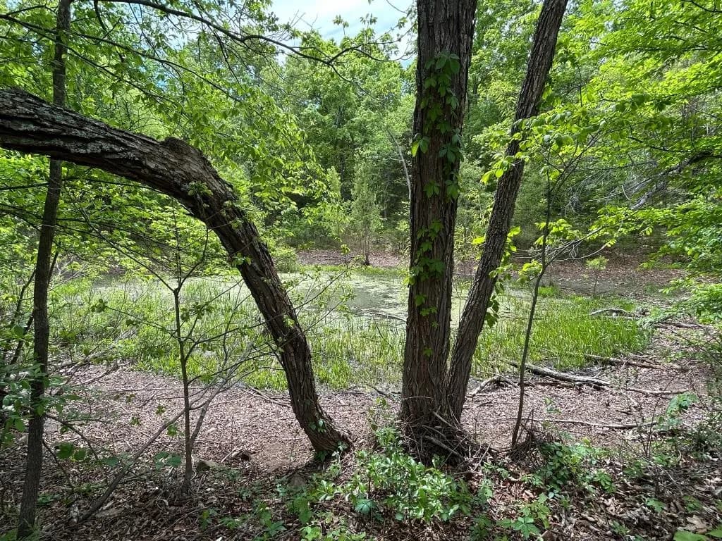 Property at 227  Cedar creek - Image 19