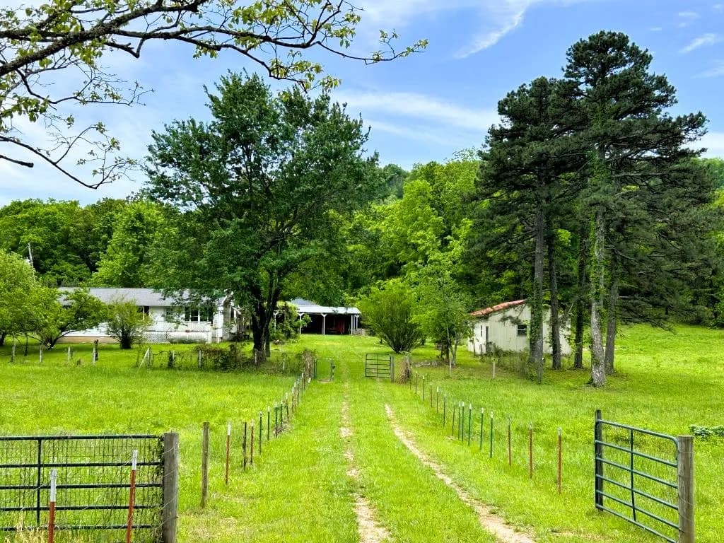 Property at 227  Cedar creek - Image 6