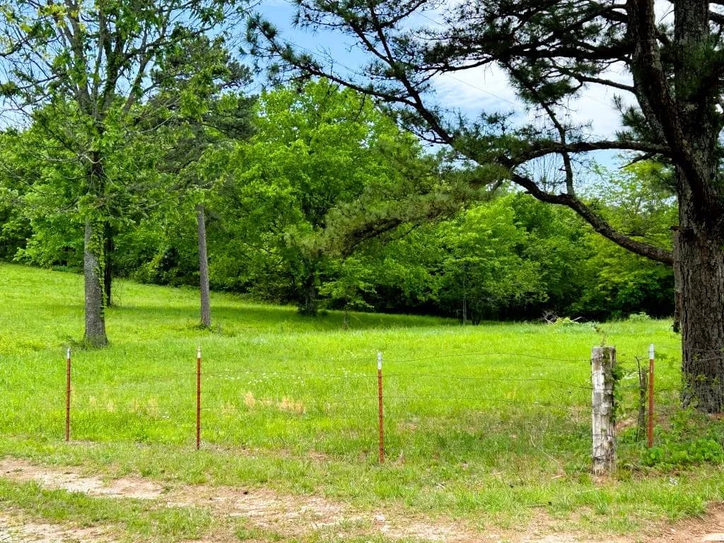 Property at 227  Cedar creek - Image 4