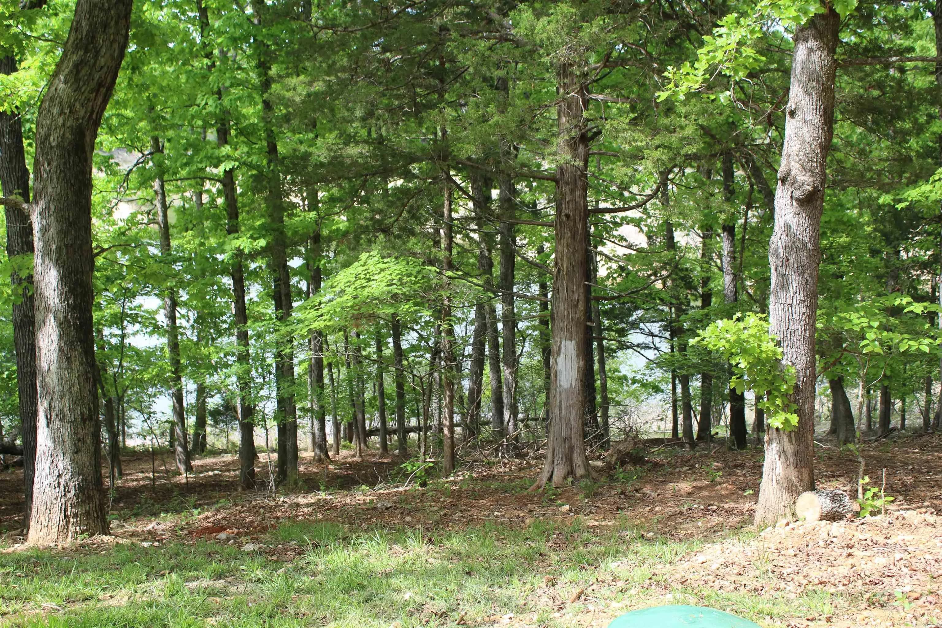 Property at 170  Blue lake drive - Image 8