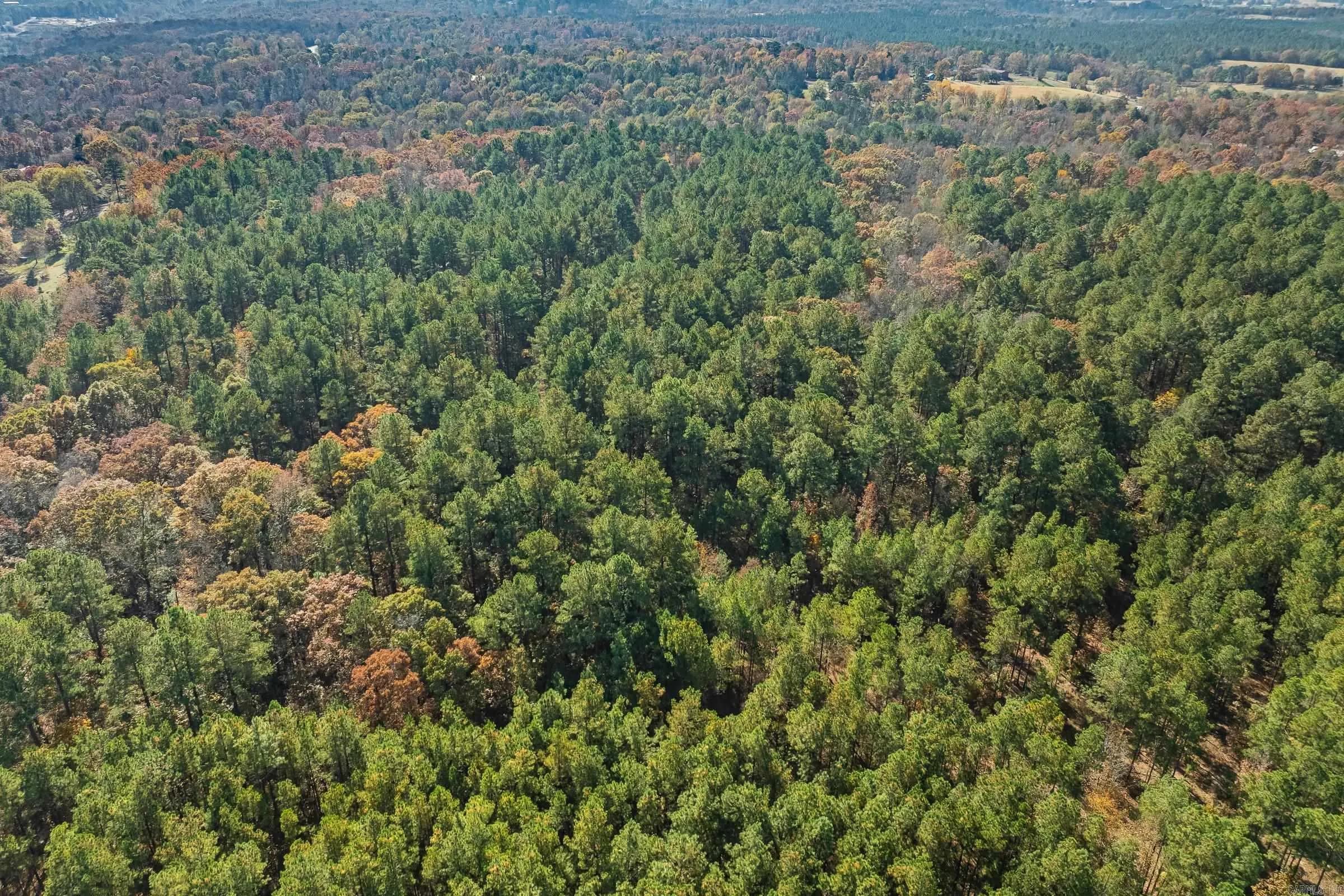 Property at TBD  Sims - Image 6