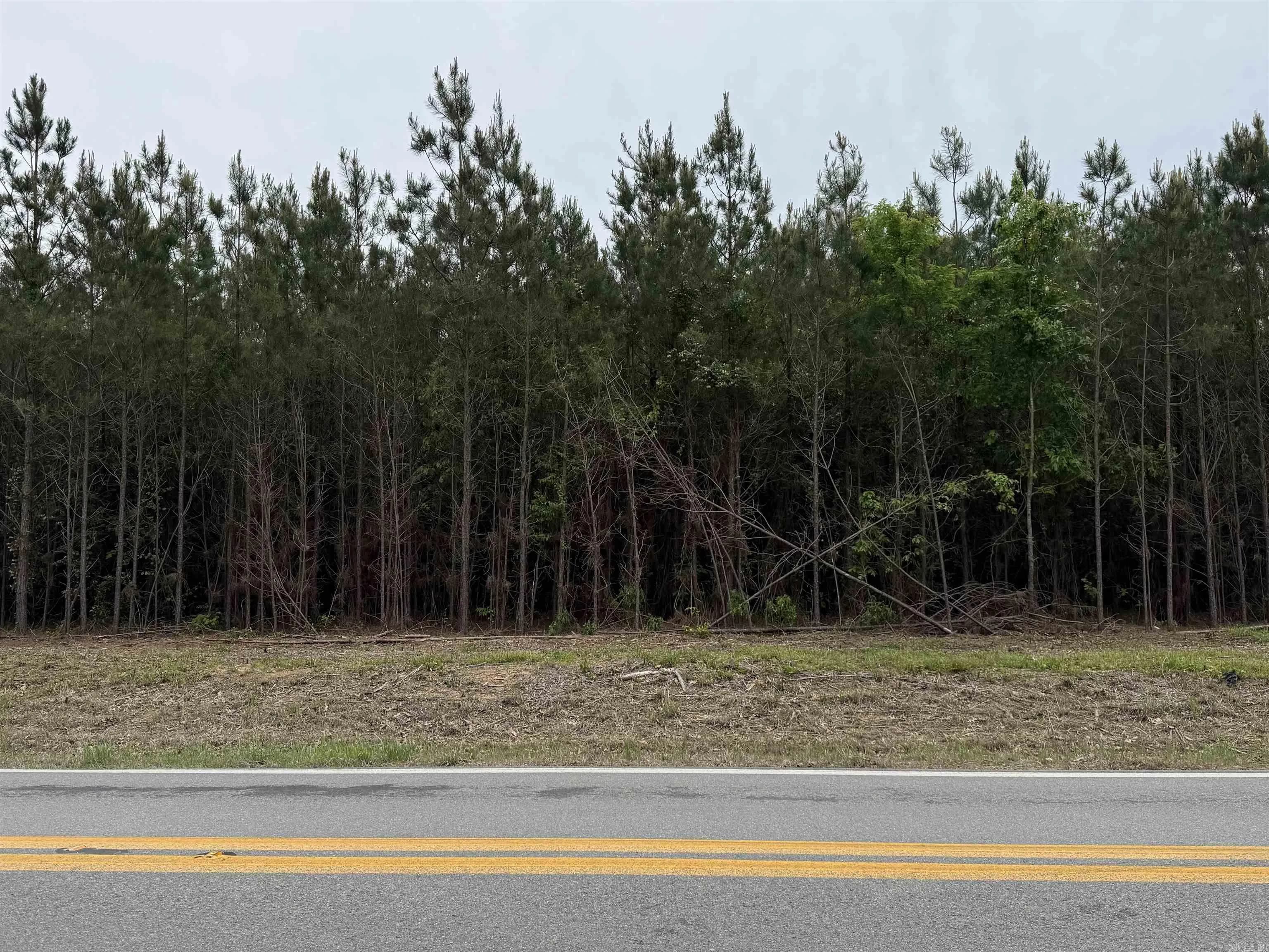 Property at Parcel 3  Highway 172 - Image 8