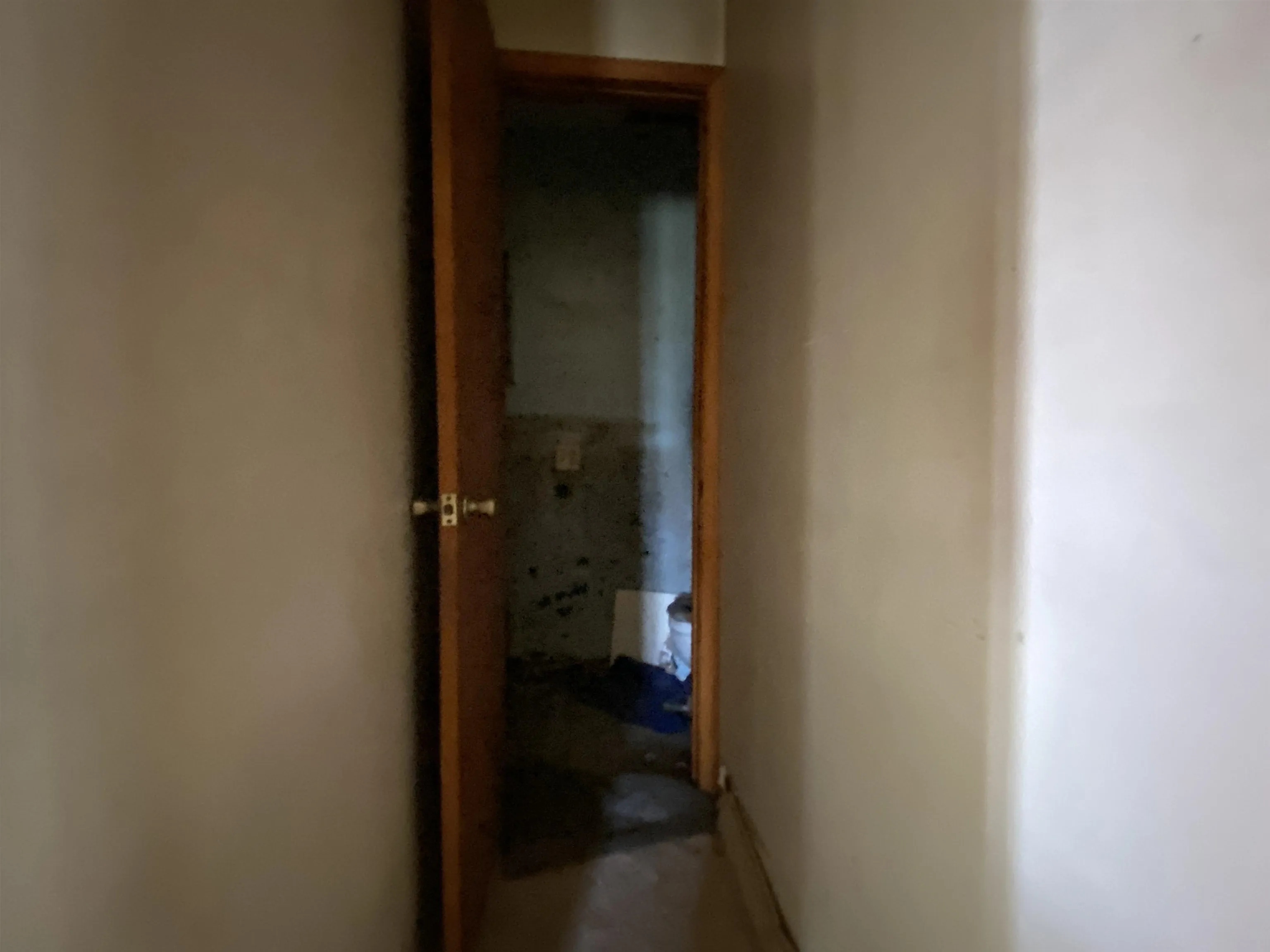 Property at 119  Chessmond ferry road - Image 10