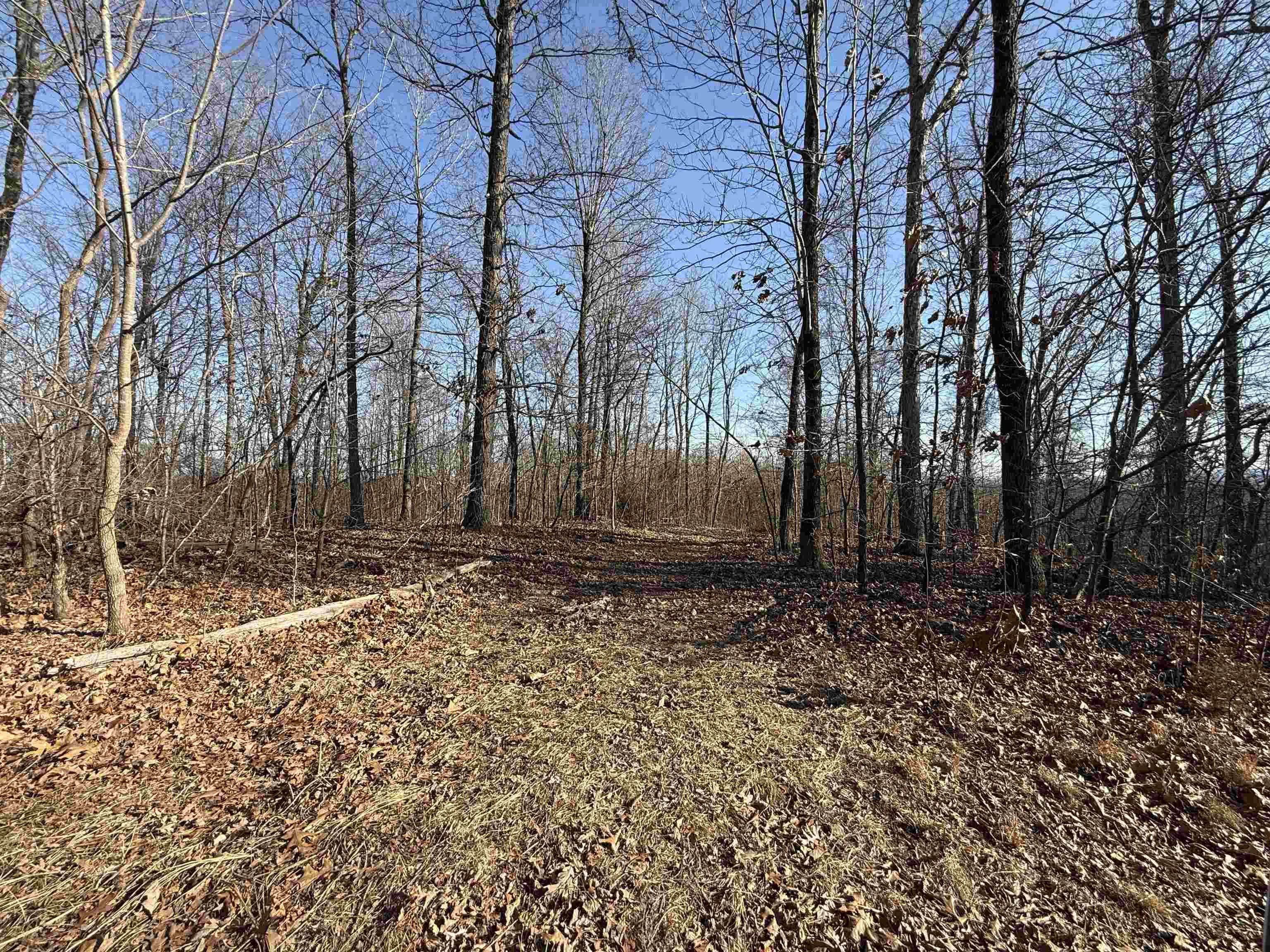 Property at 115A  Greasy bottom road - Image 26