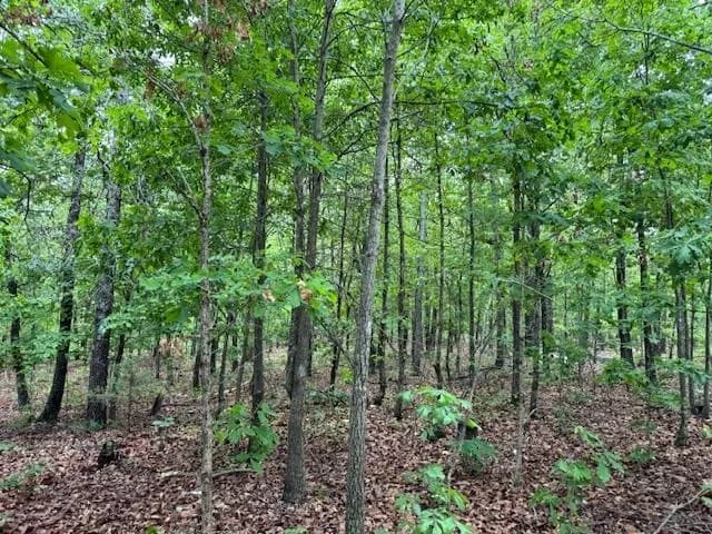 Property at 1329  Echowood cir - Image 13