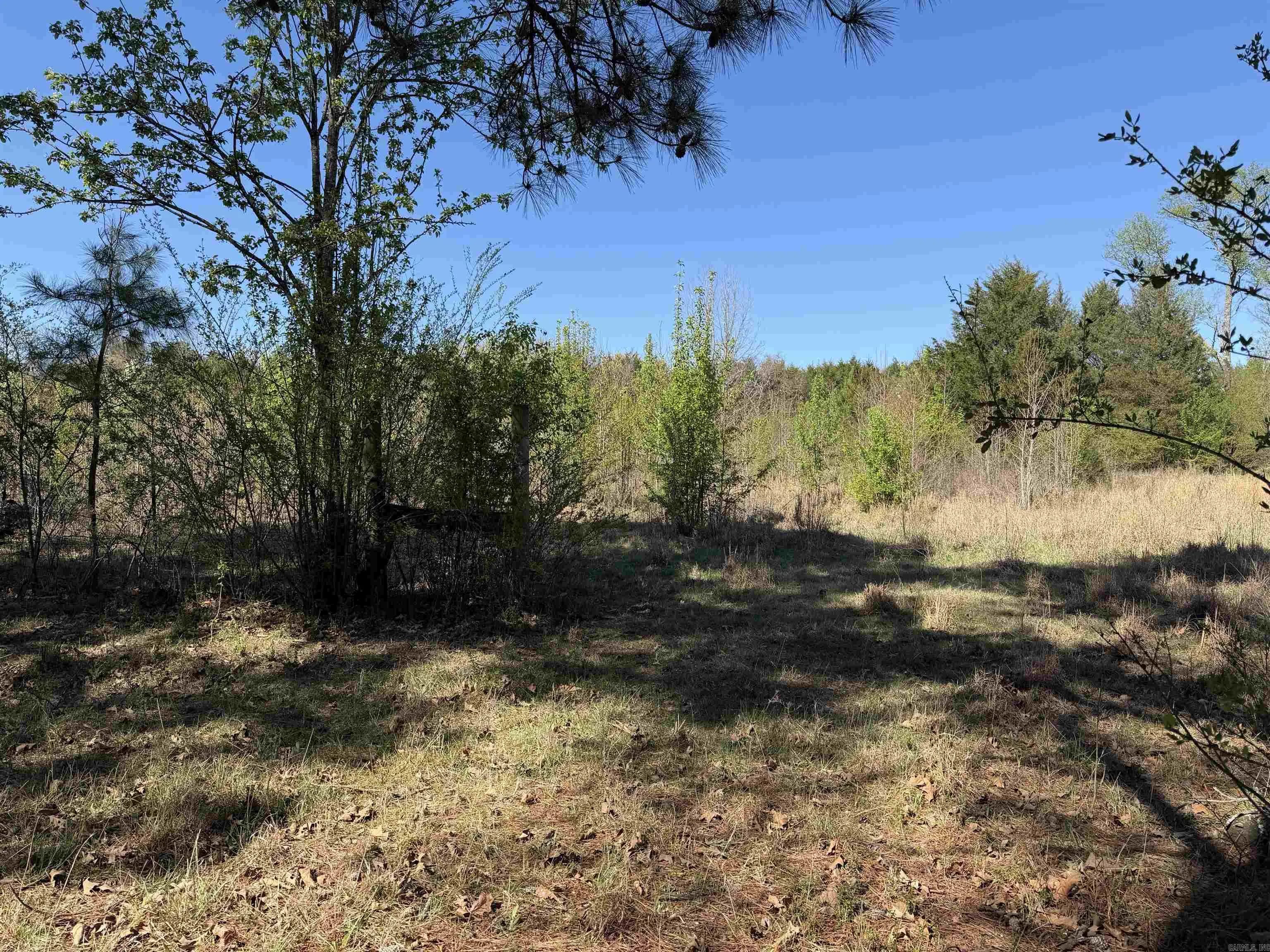 Property at 213  Primose - Image 1