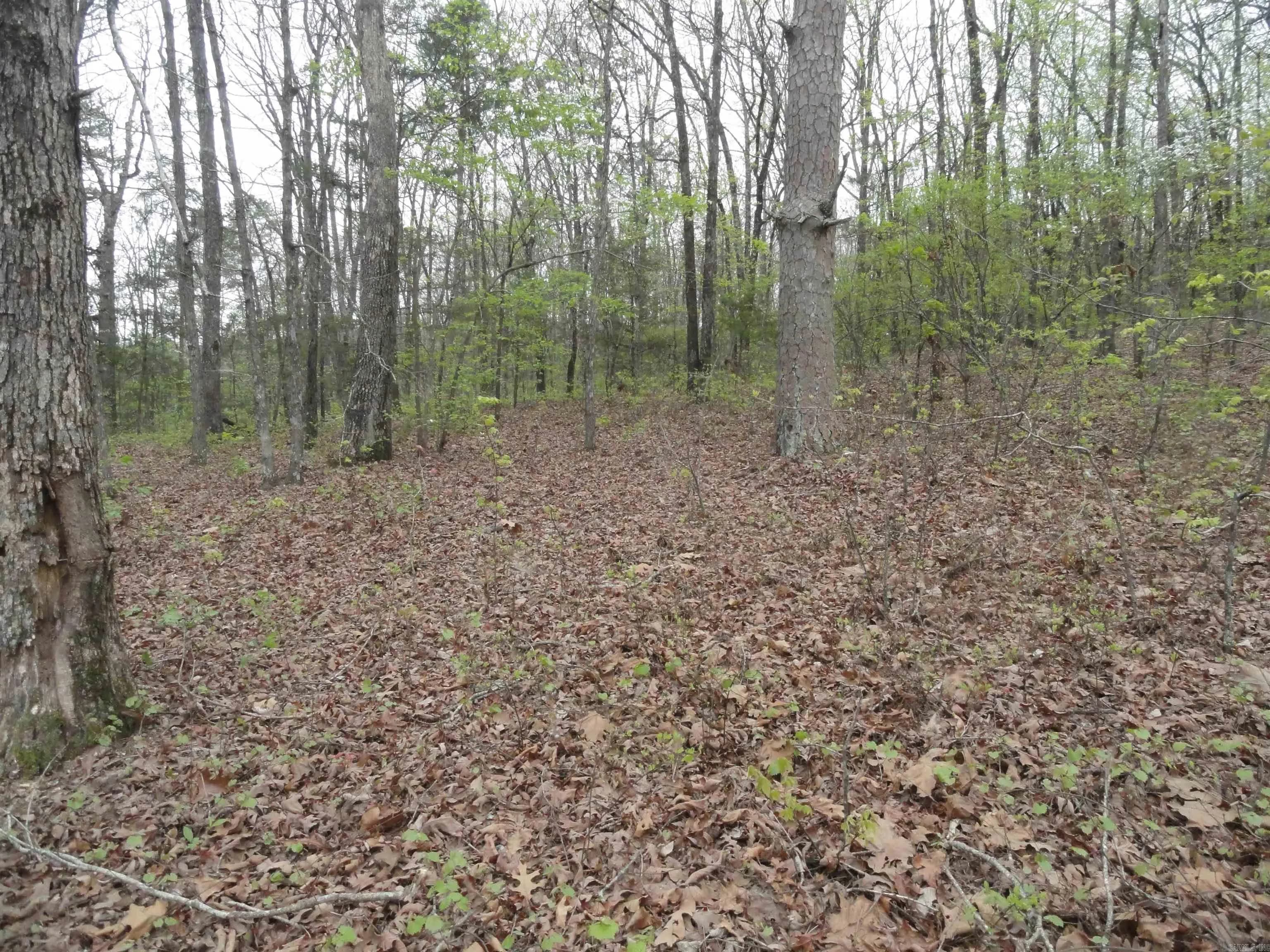 Property at 0000  Long branch - Image 22