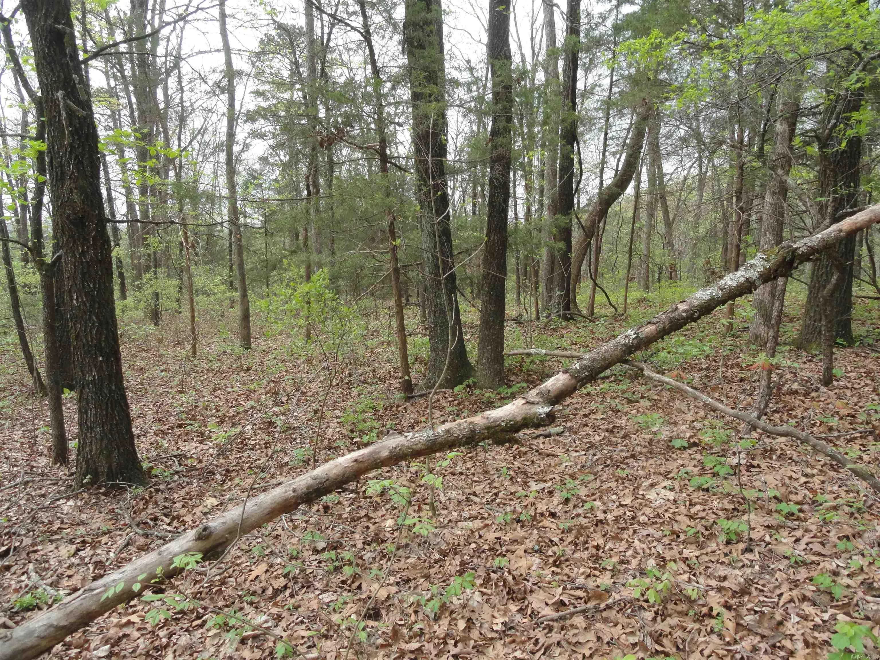 Property at 0000  Long branch - Image 27