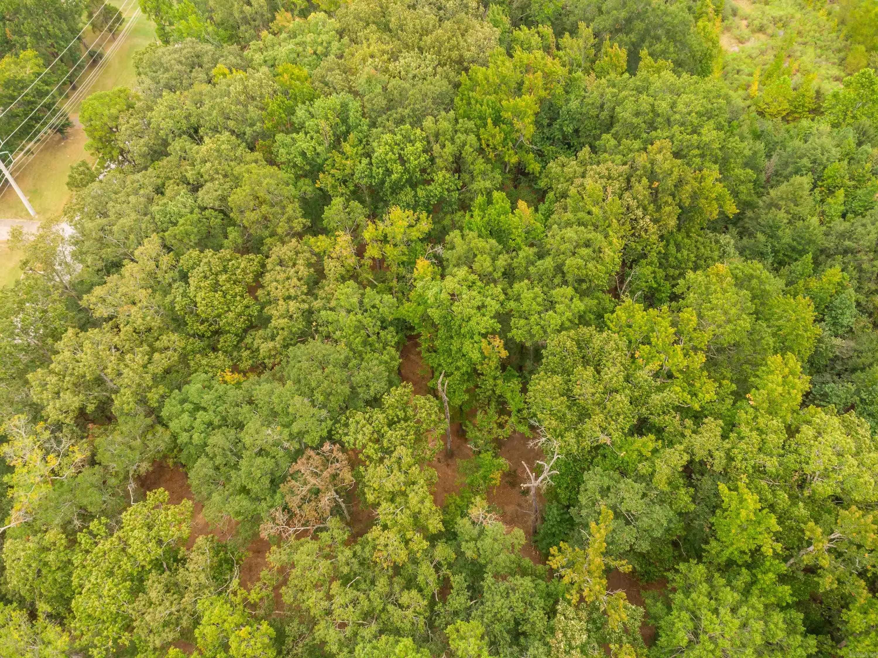 Property at 0  Hwy 365 n  Tanning Rd South - Image 20