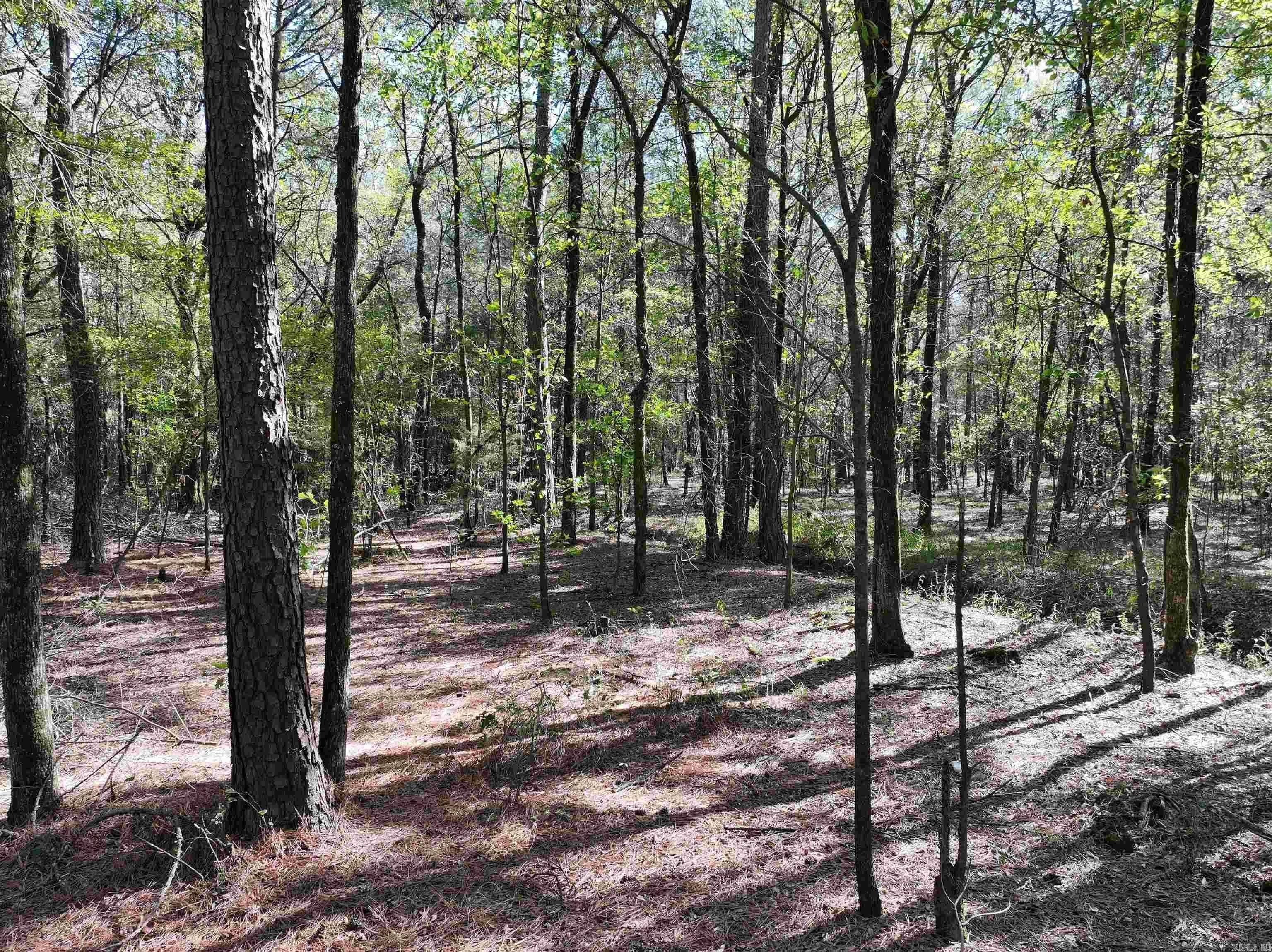 Property at XXX  Central - Image 14