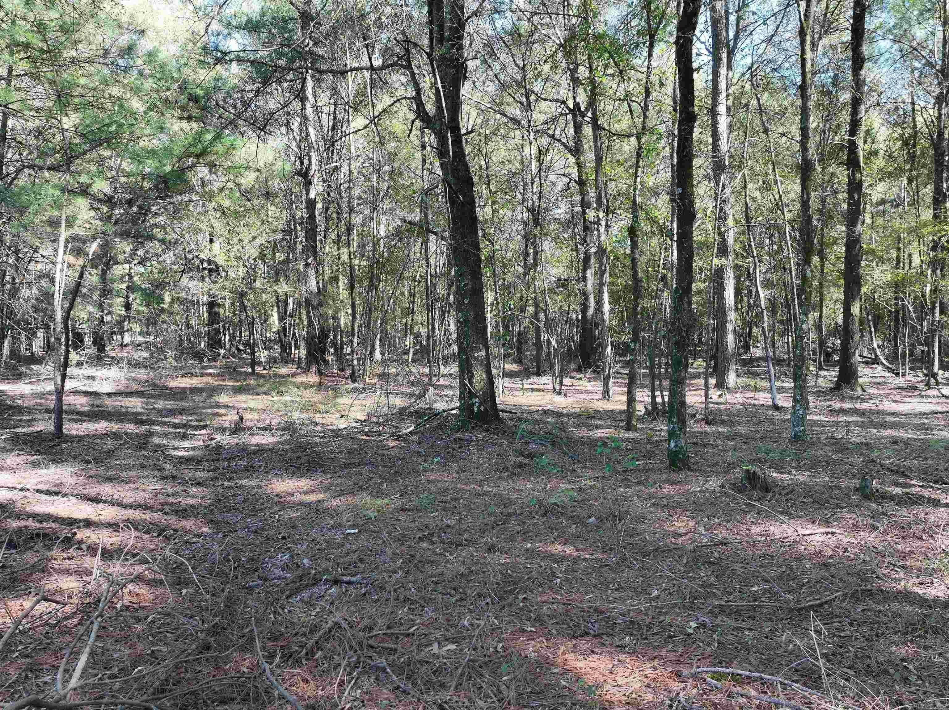 Property at XXX  Central - Image 18