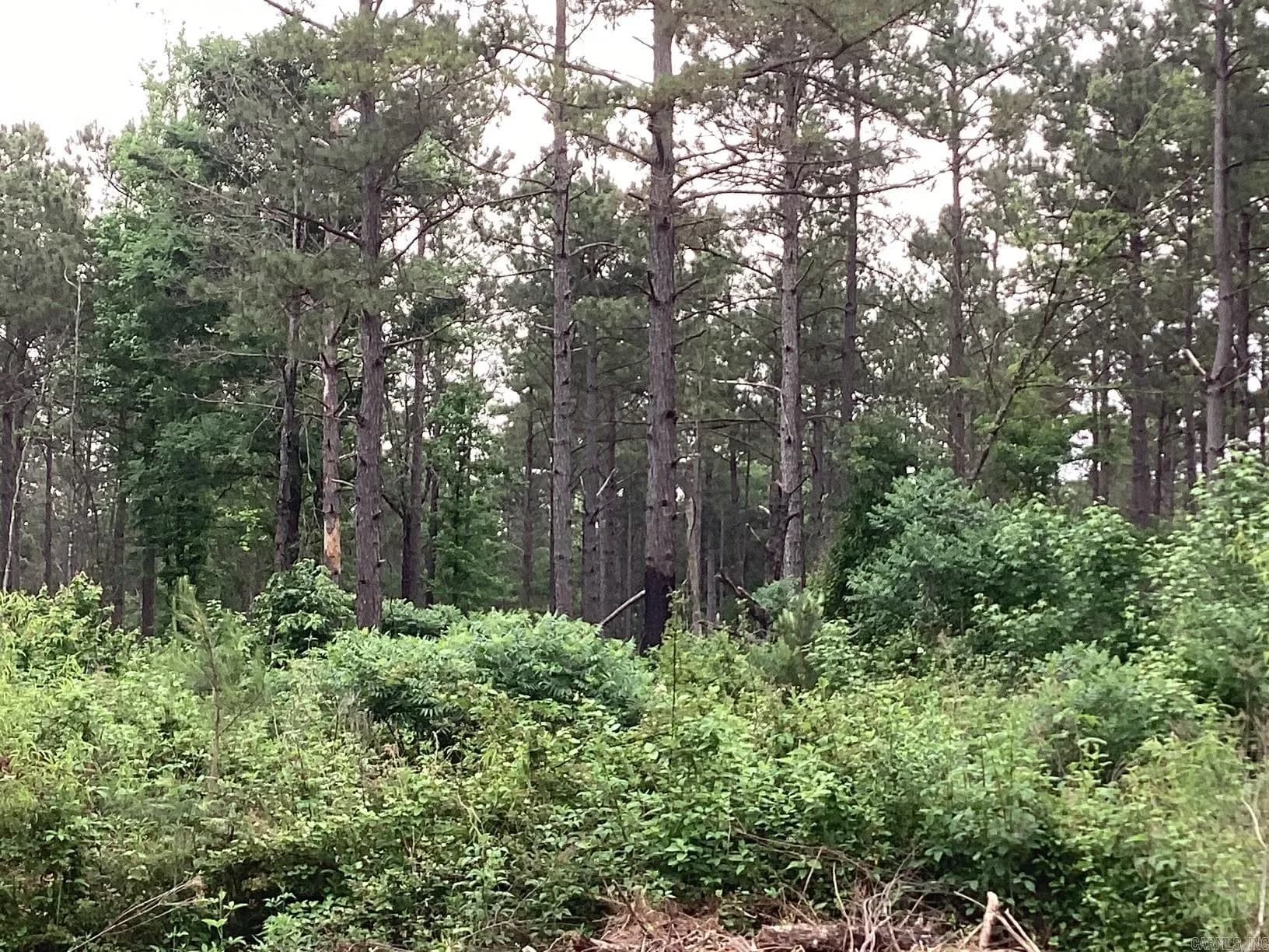 Property at 00  Hwy 24 - Image 3